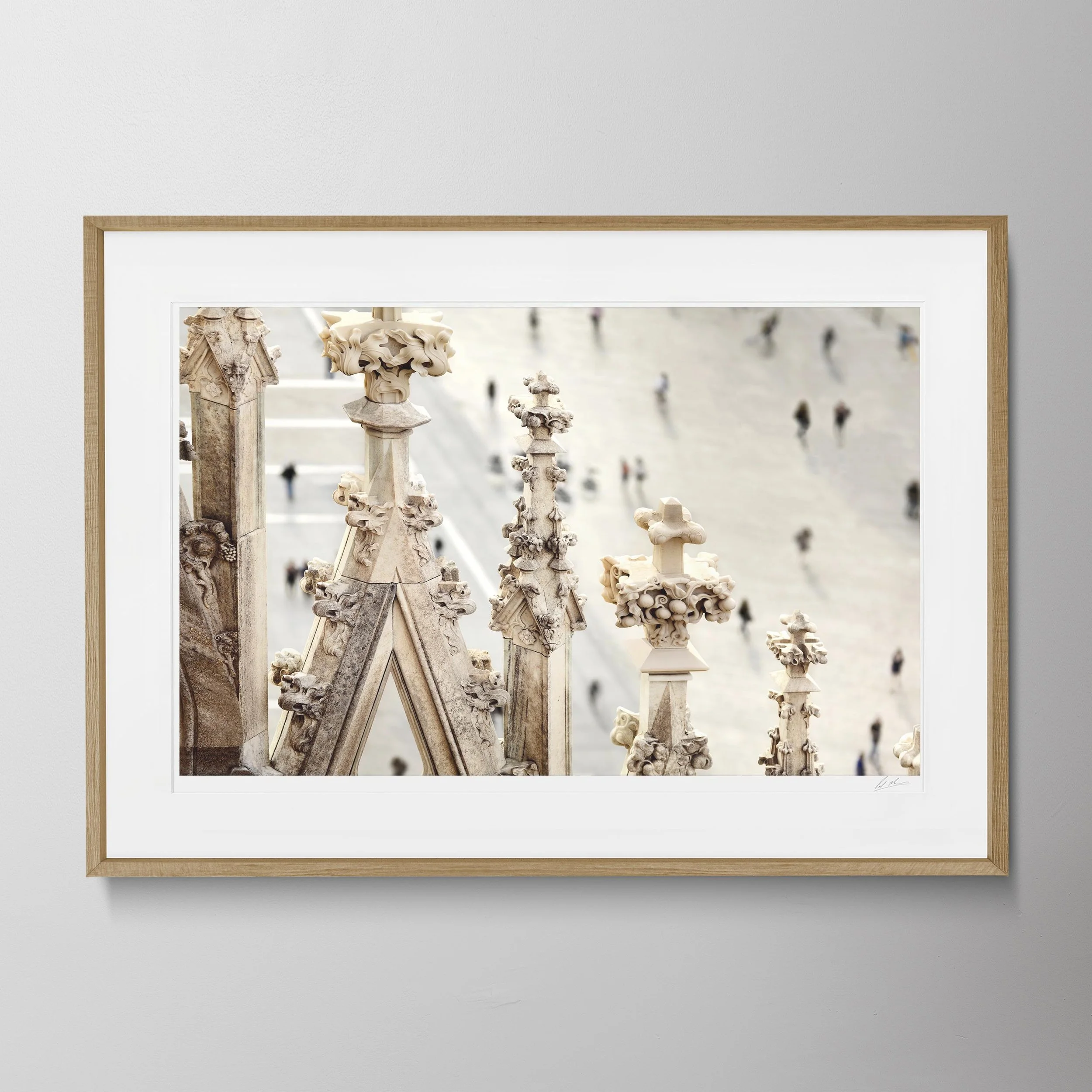 Oak Landscape - FSM Duomo_0135 copy.jpg