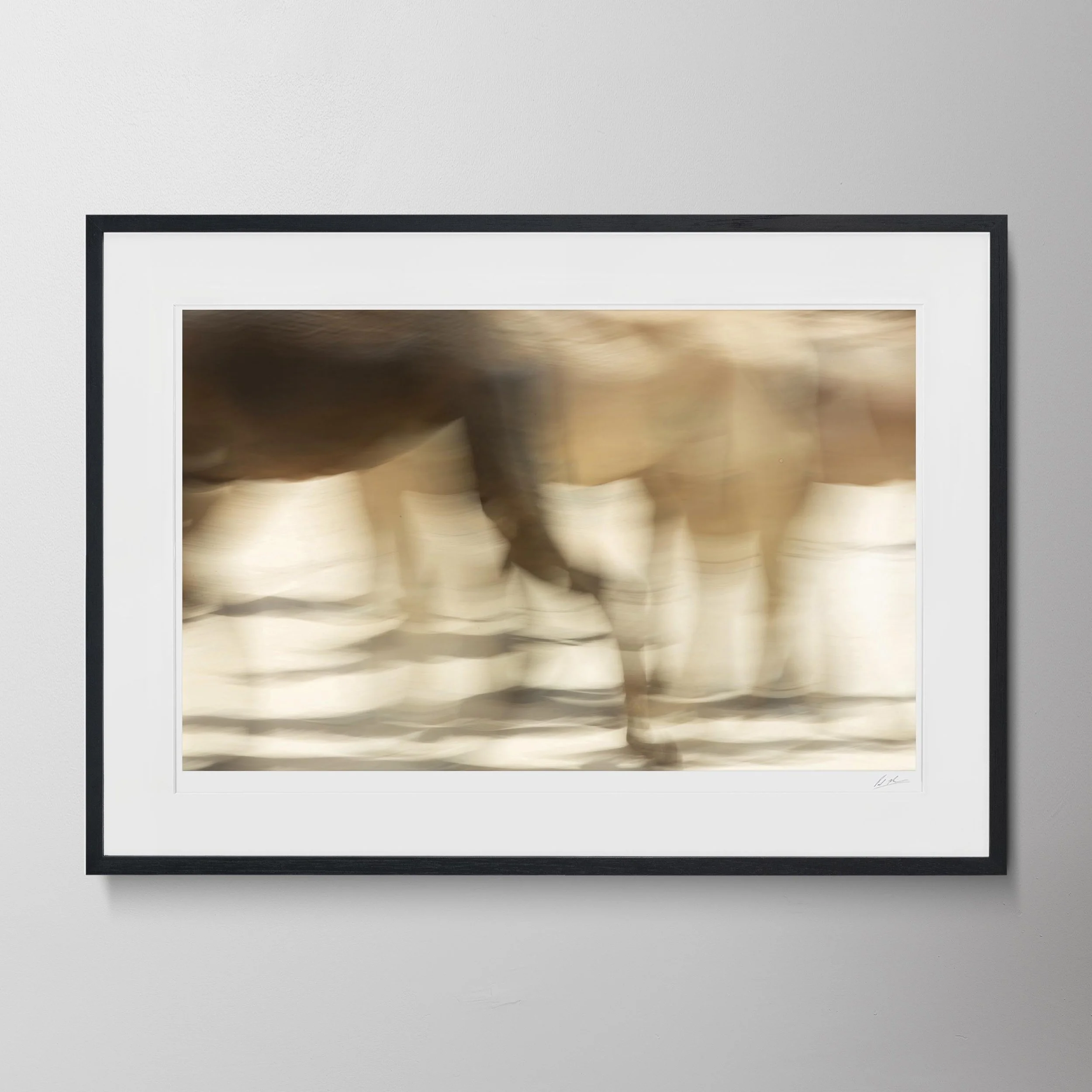 Black Landscape-Camels in Liwa 10.jpg