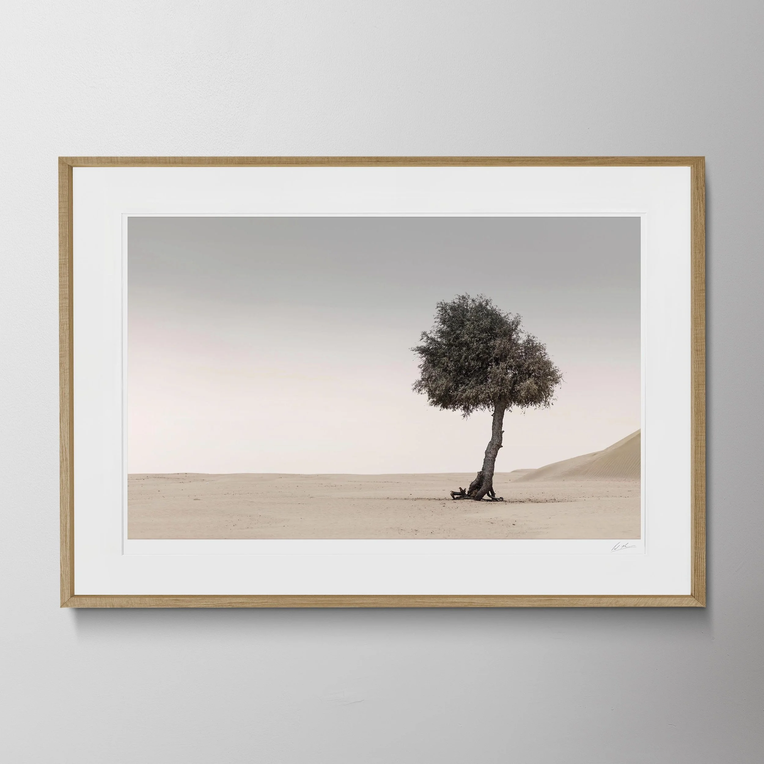 Oak Landscape- Ghaff Trees 0004 2.jpg