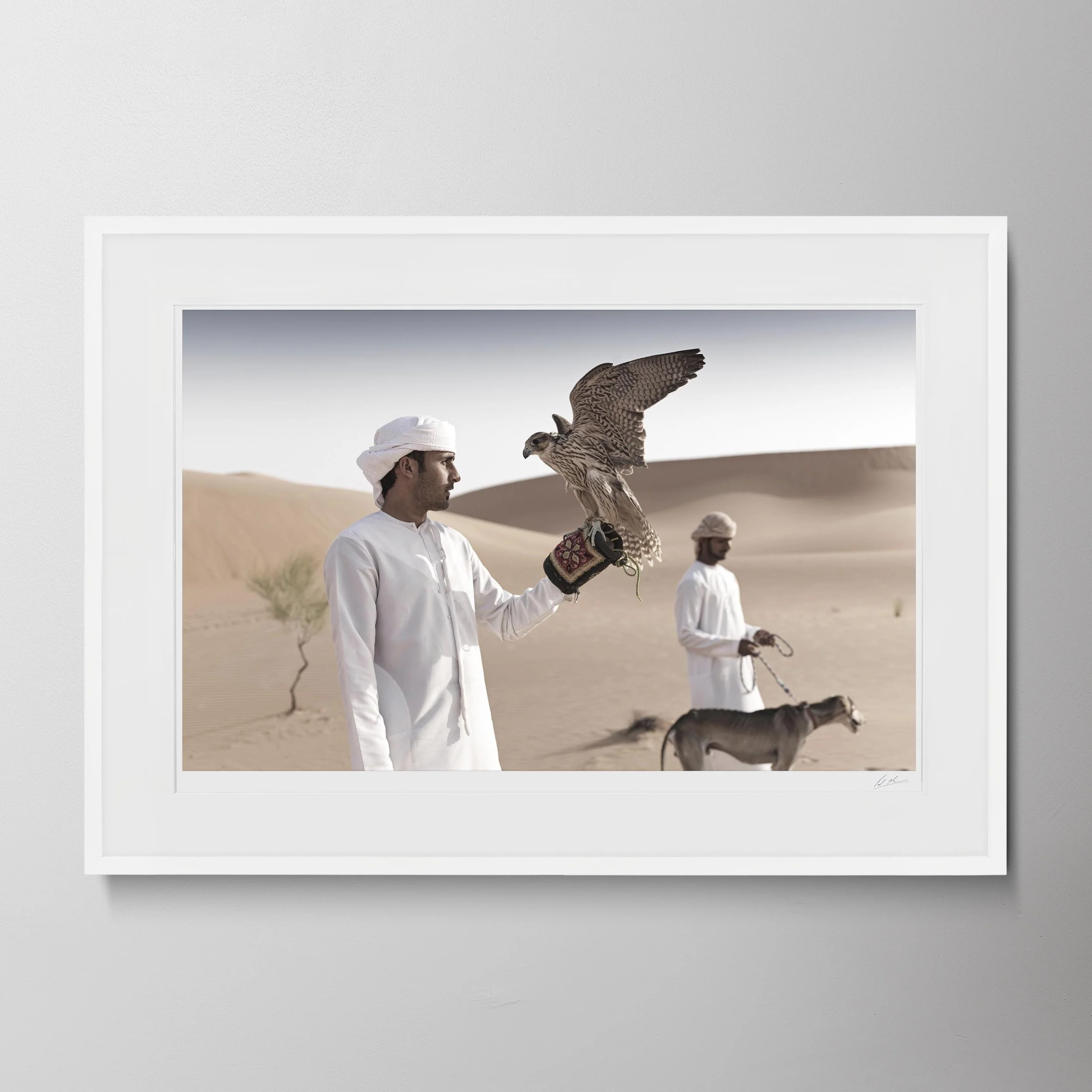 White Landscape - QAS Falcon Saluki B_0008.jpg