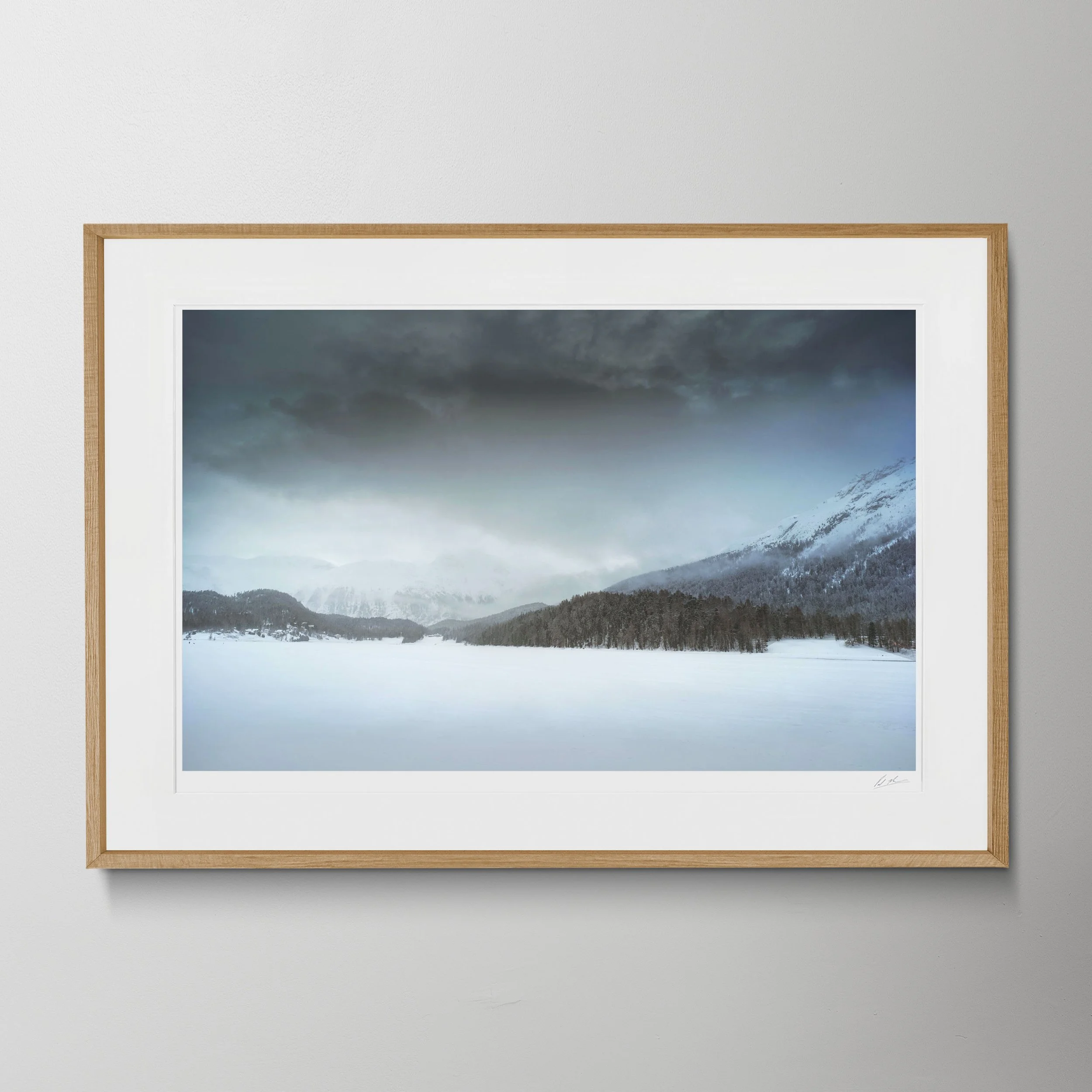 Oak Landscape copy St Moritz Landscapes_0049.jpg