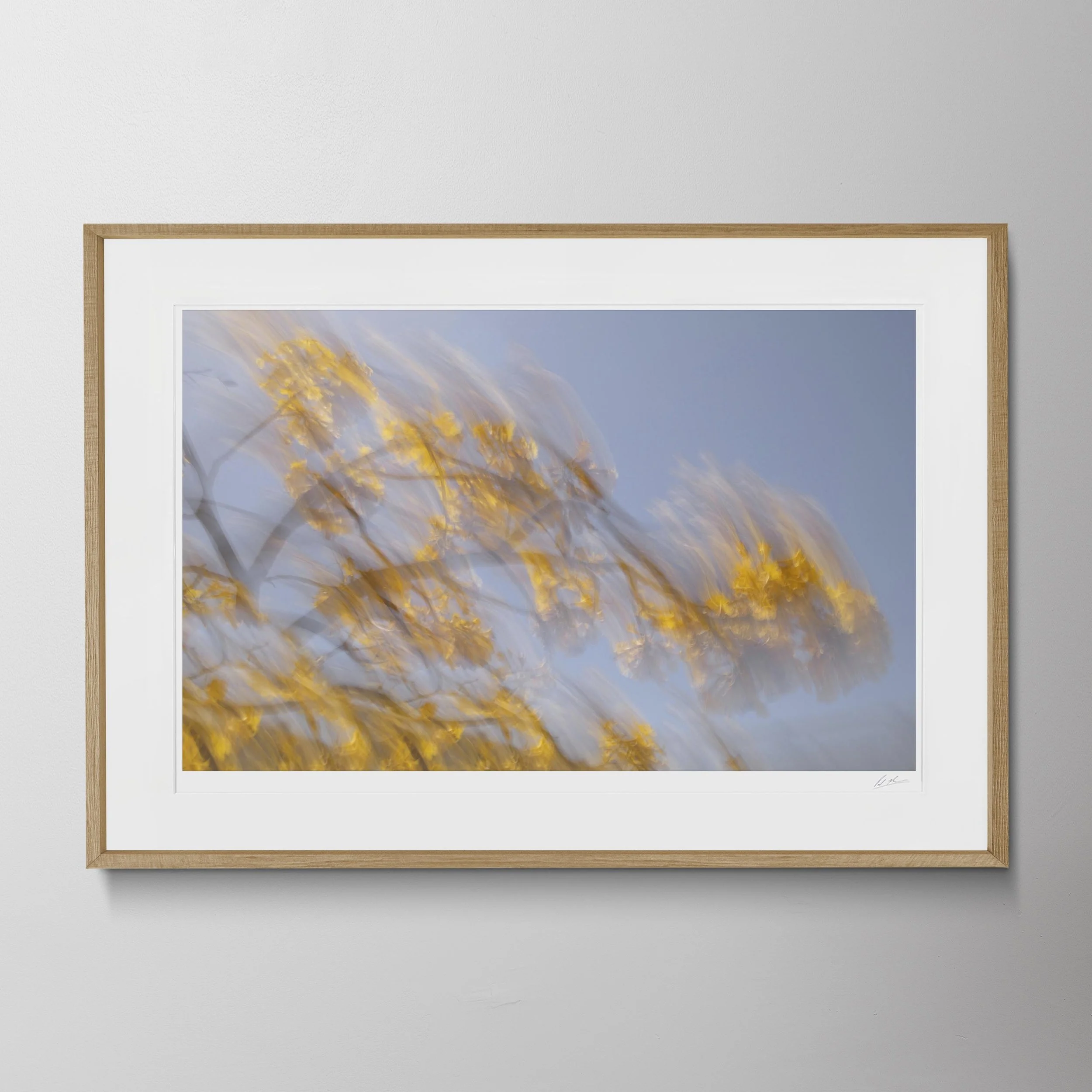 Oak Landscape-AT2A3457.jpg