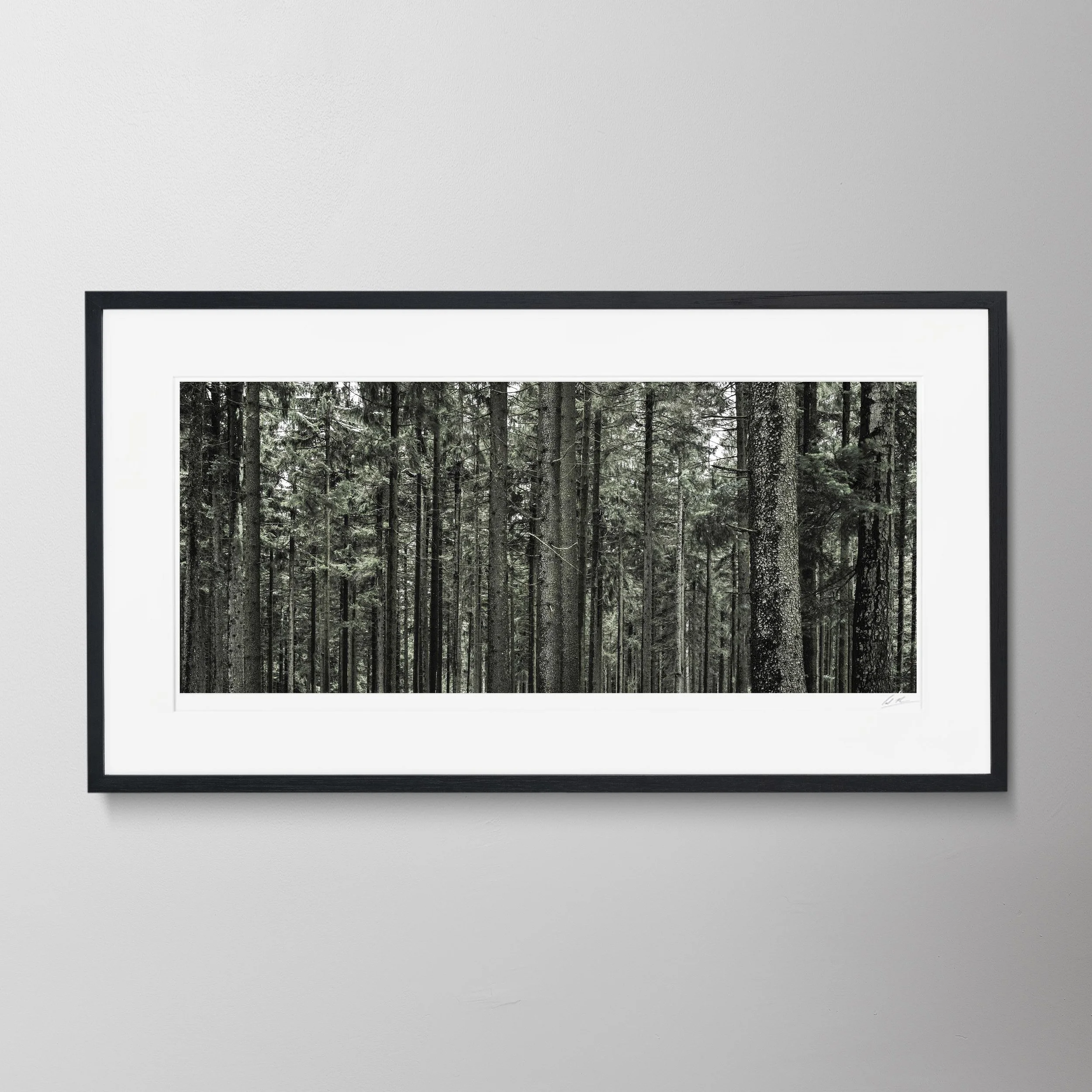 Black Panorama - Bavarian Trees_0011 copy.jpg