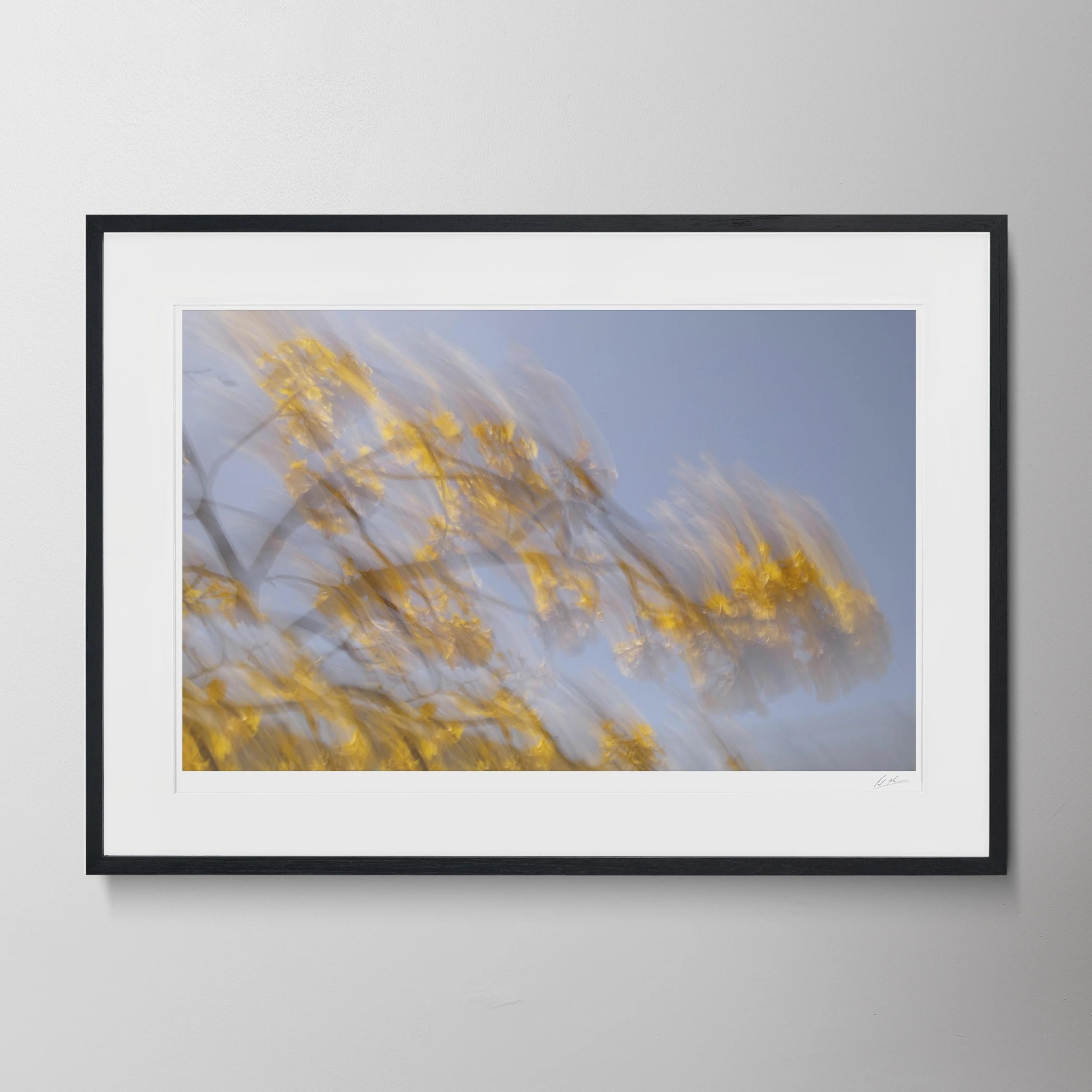 Black Landscape-AT2A3457.jpg