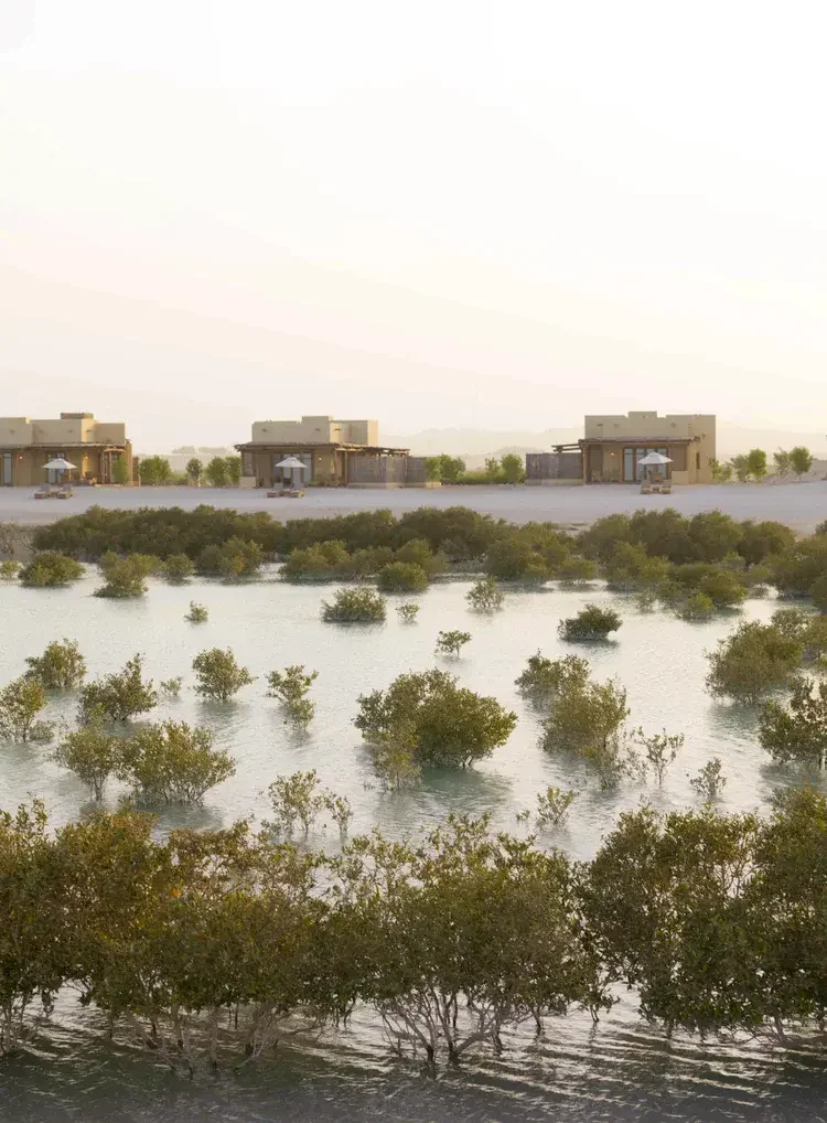 25 084+AAY+Mangrove+Villas+B_0003.jpg.webp