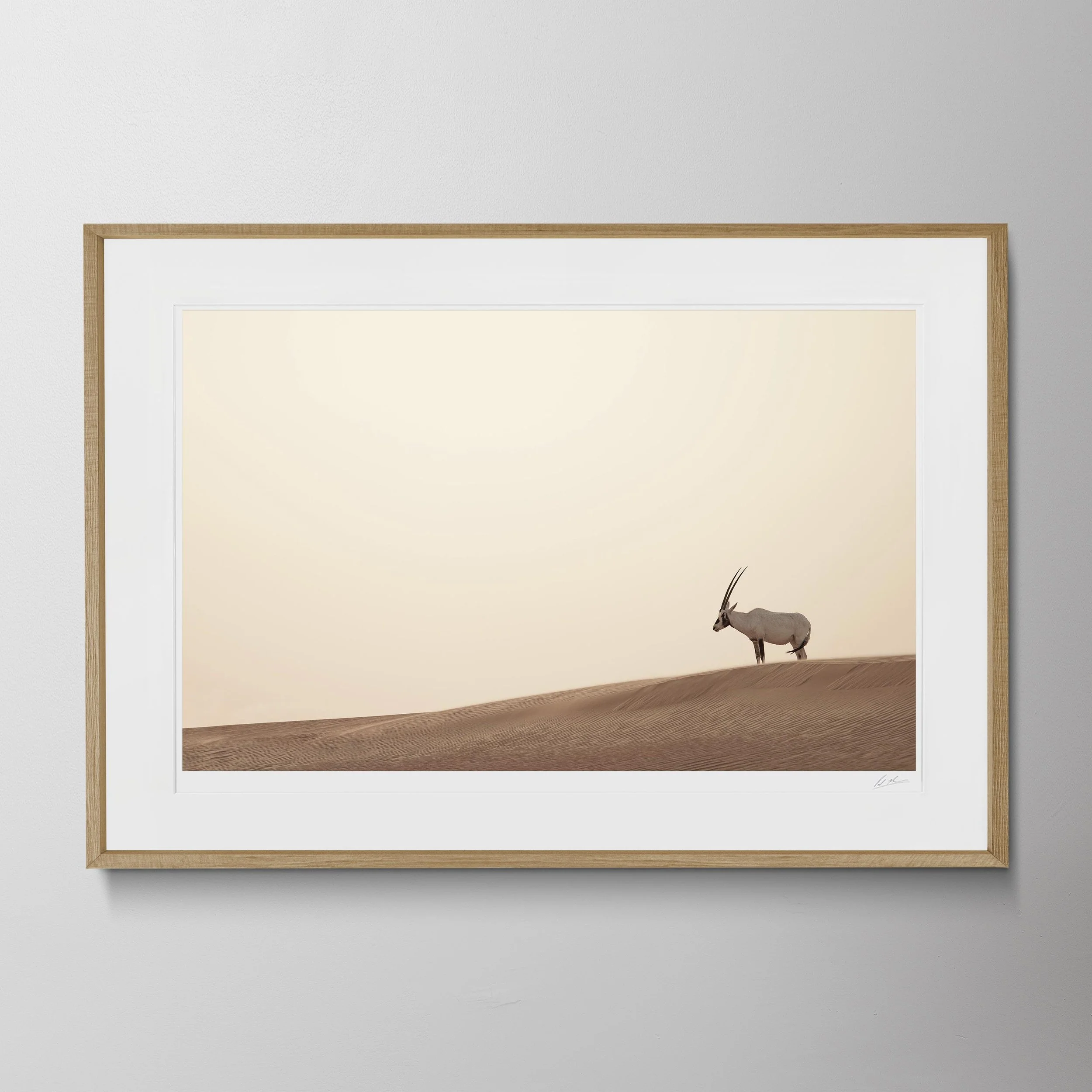 Oak Landscape-Oryx 0020.jpg