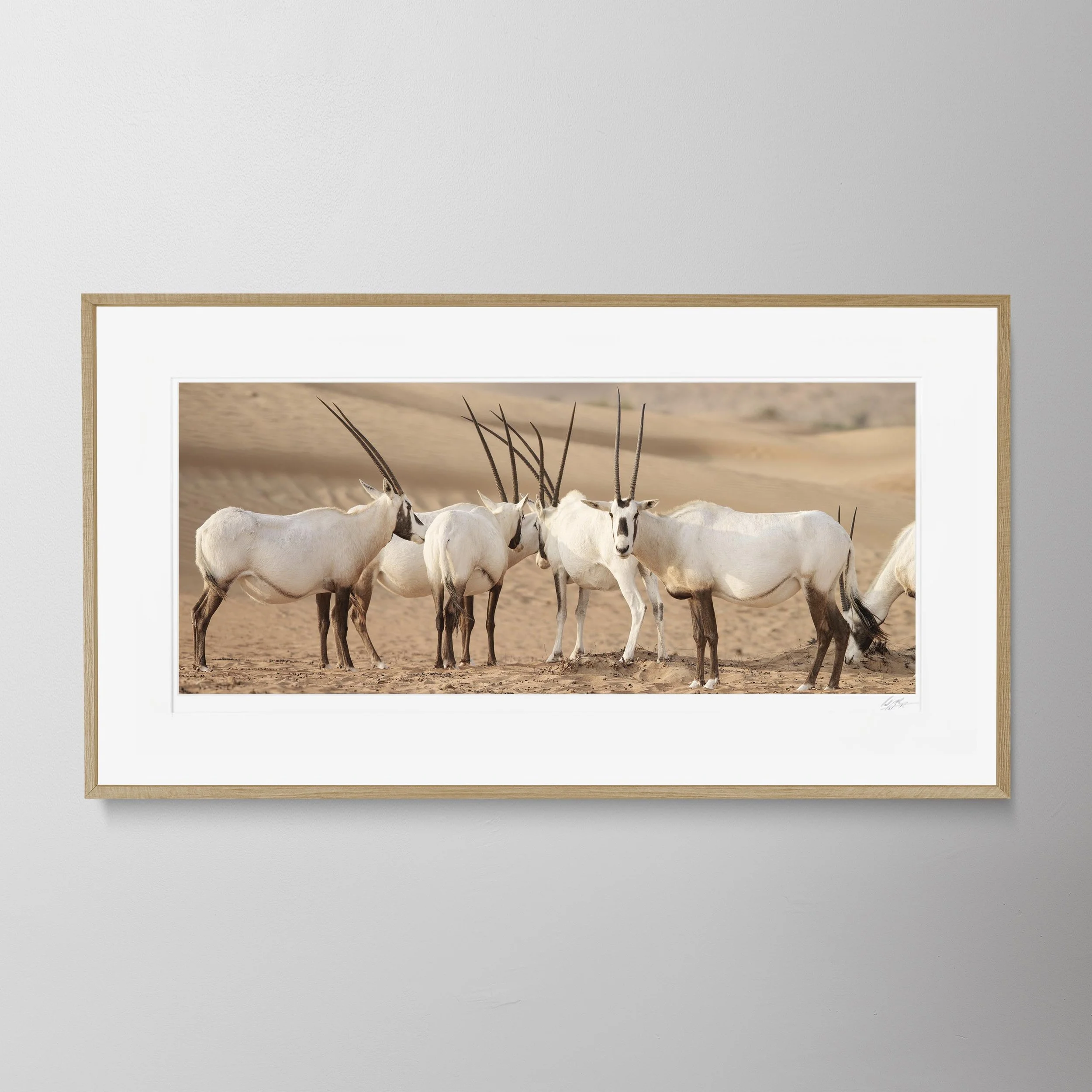 Oak Panorama-Oryx 0001.jpg