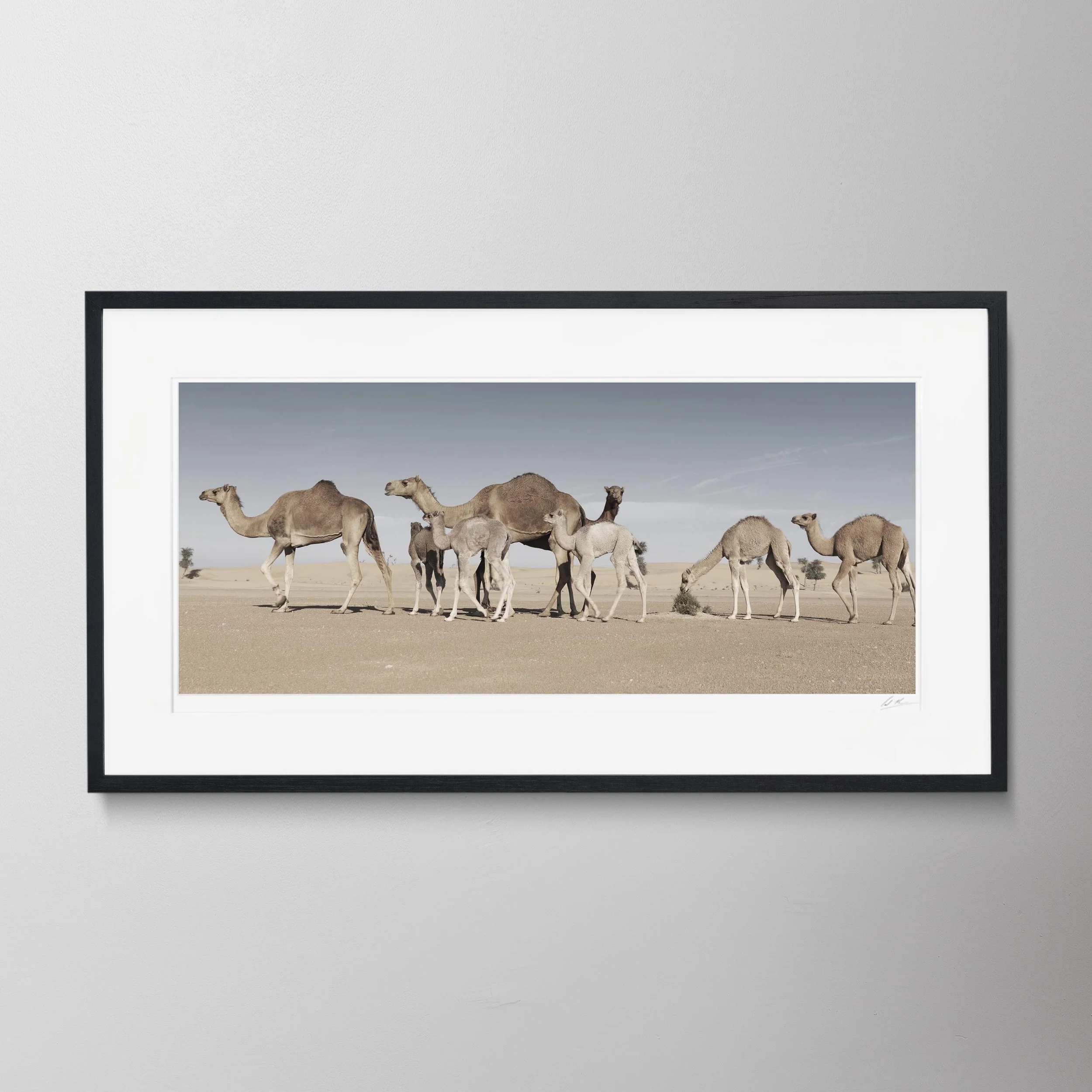 Black Panorama-Camel Counting Song 9 0050.jpg