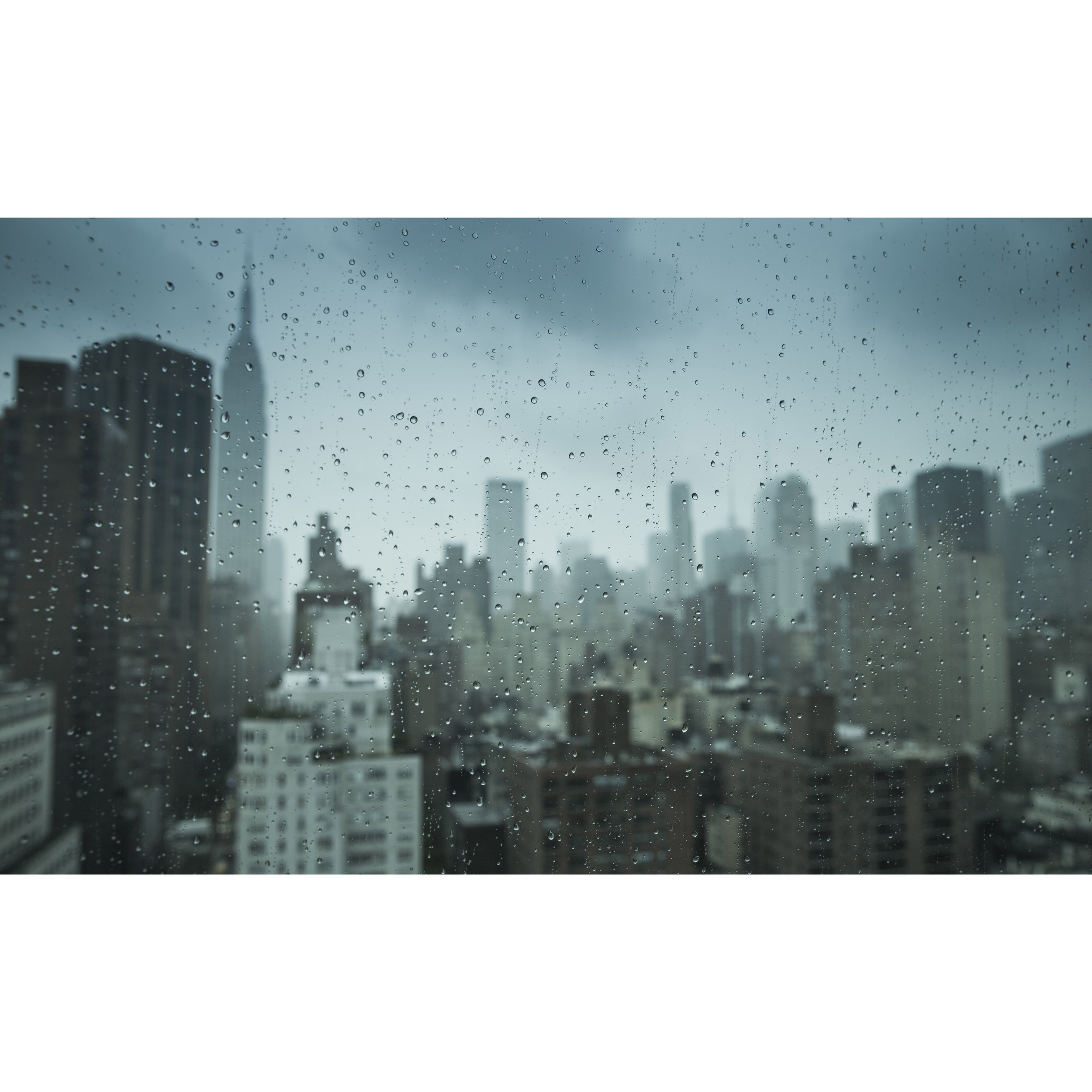 New York 3V6A3416 copy.jpg