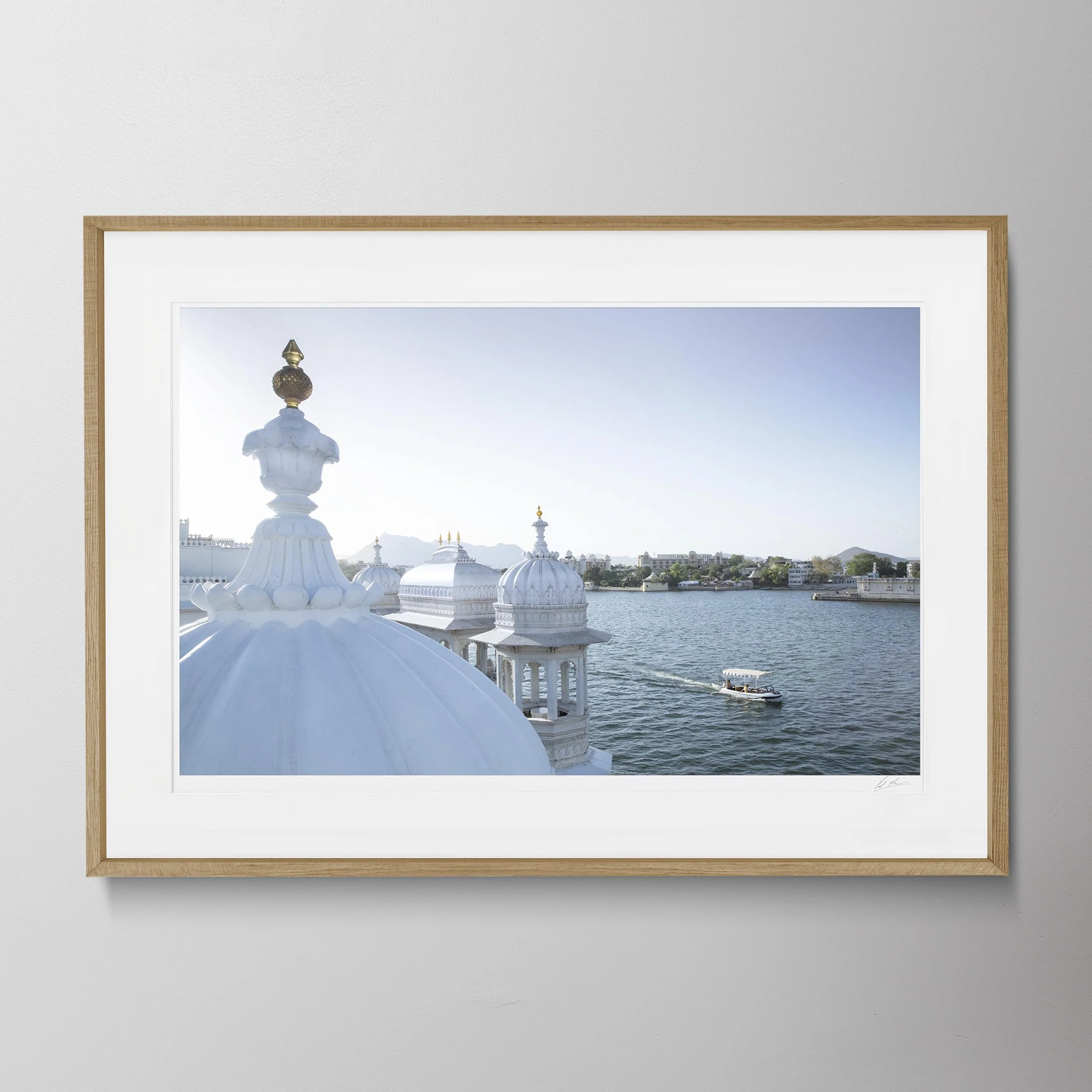 Oak Landscape - Lake Palace Hotel Udaipur 161 copy.jpg