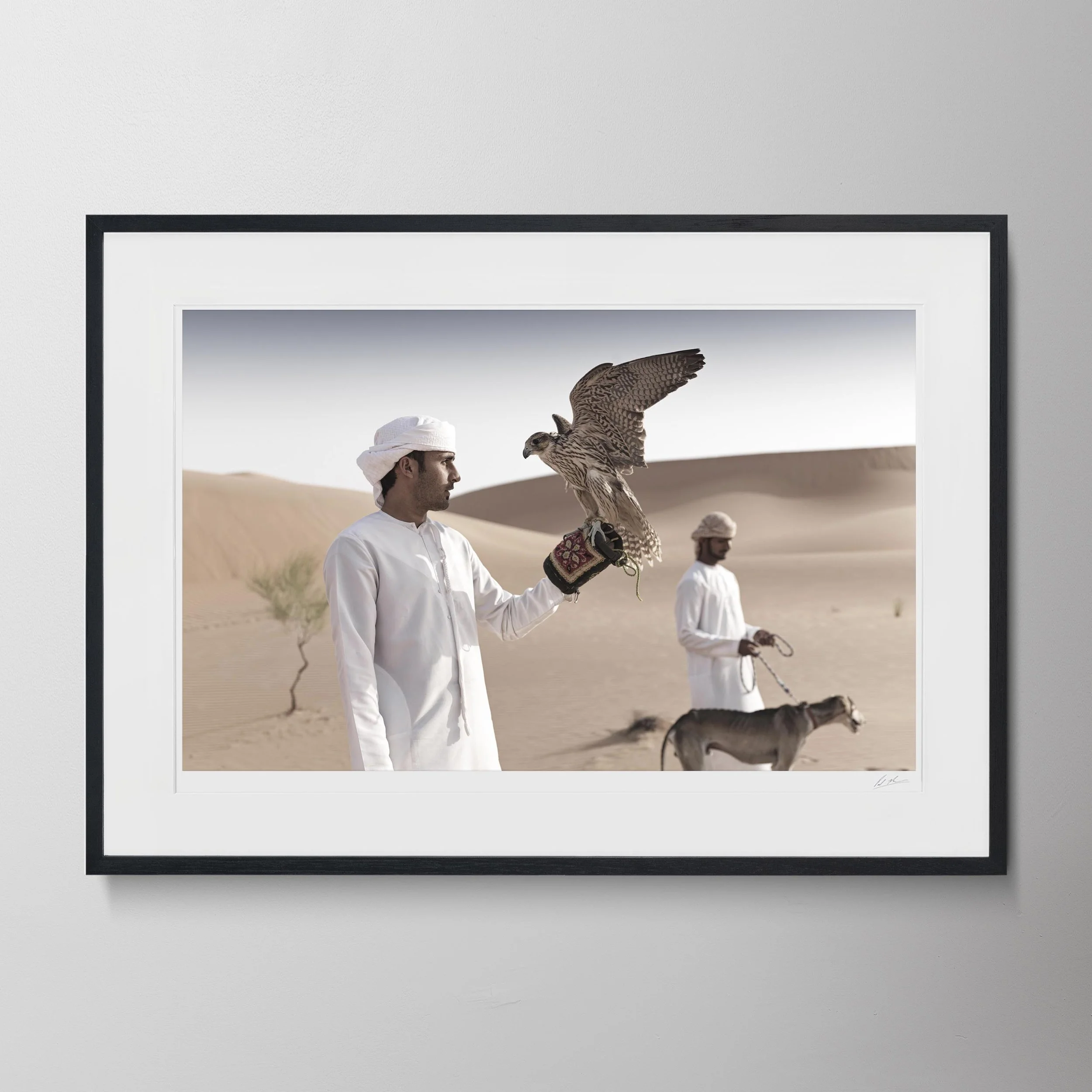 Black Landscape - QAS Falcon Saluki B_0008.jpg