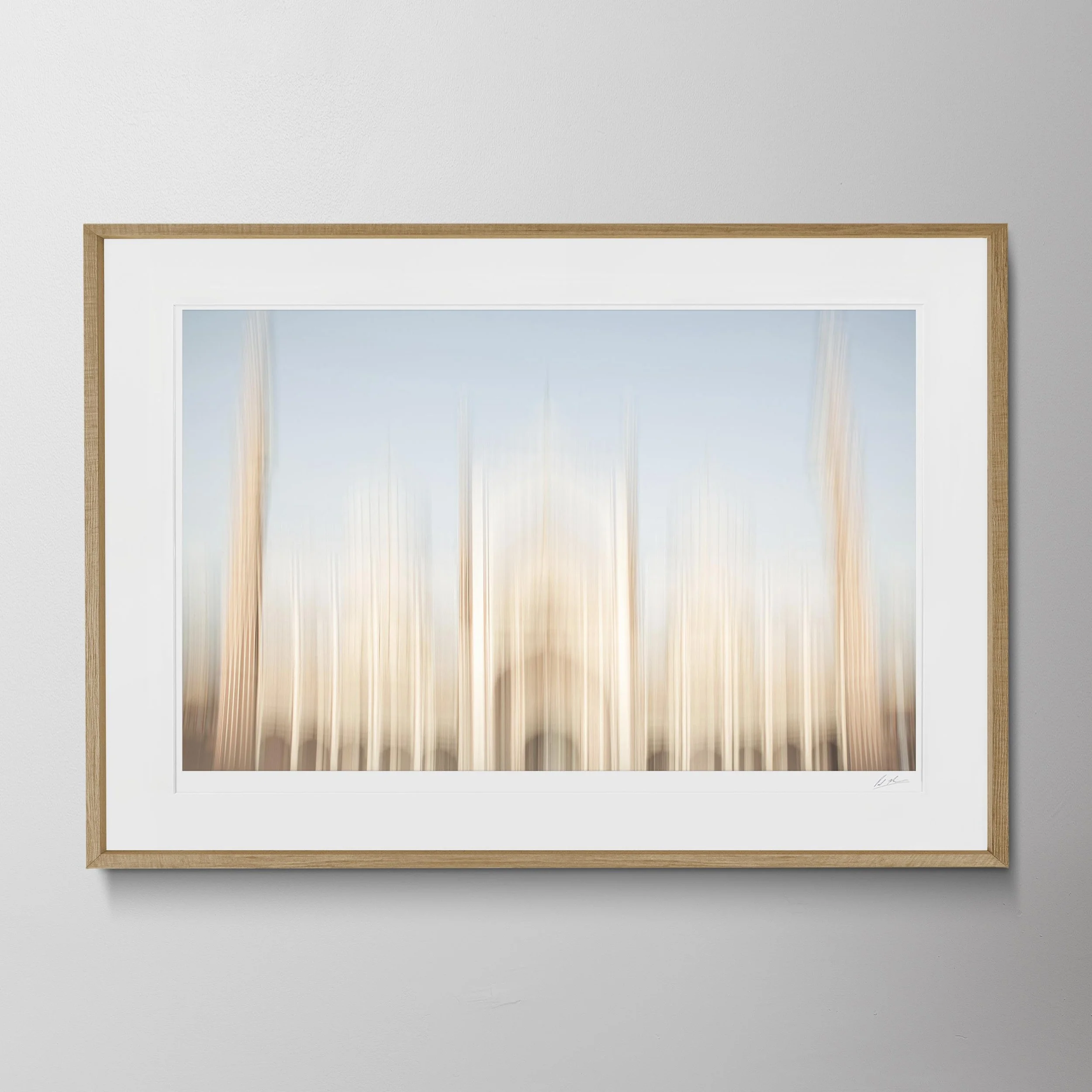 Oak Landscape-Juma Masjid Motion Blur 21.jpg