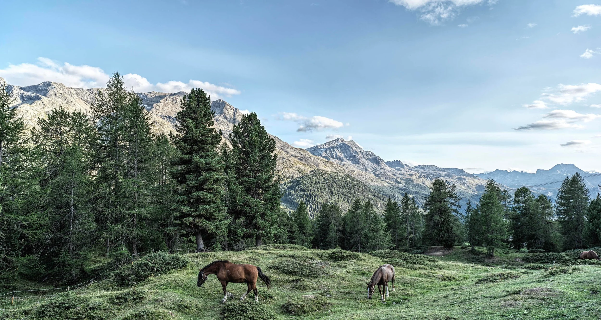 St Moritz Switzerland Stock_0118.jpg