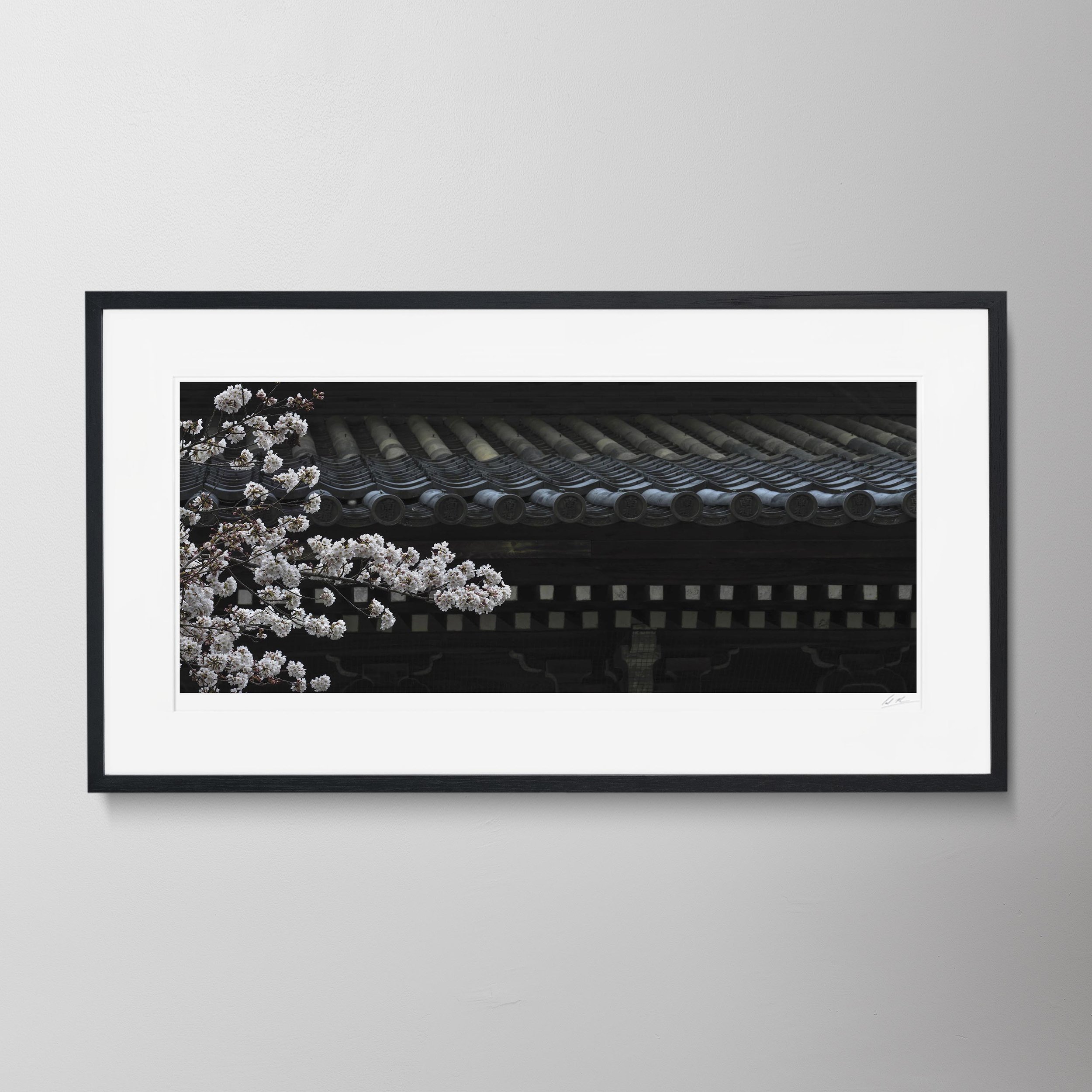 Black Panorama - Kyoto Nanzen-Ji Temple_0031 update copy.jpg