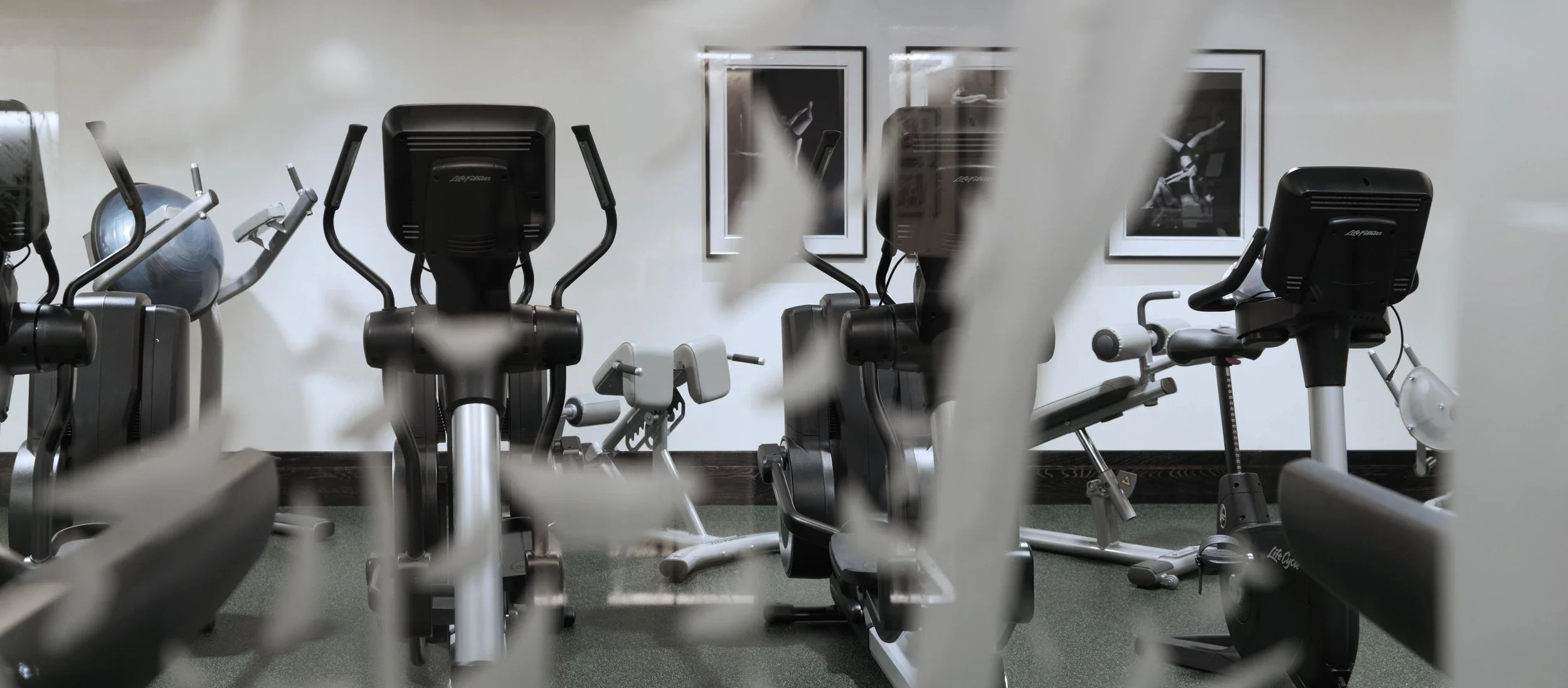 025 FSM Gym A_0007.jpg