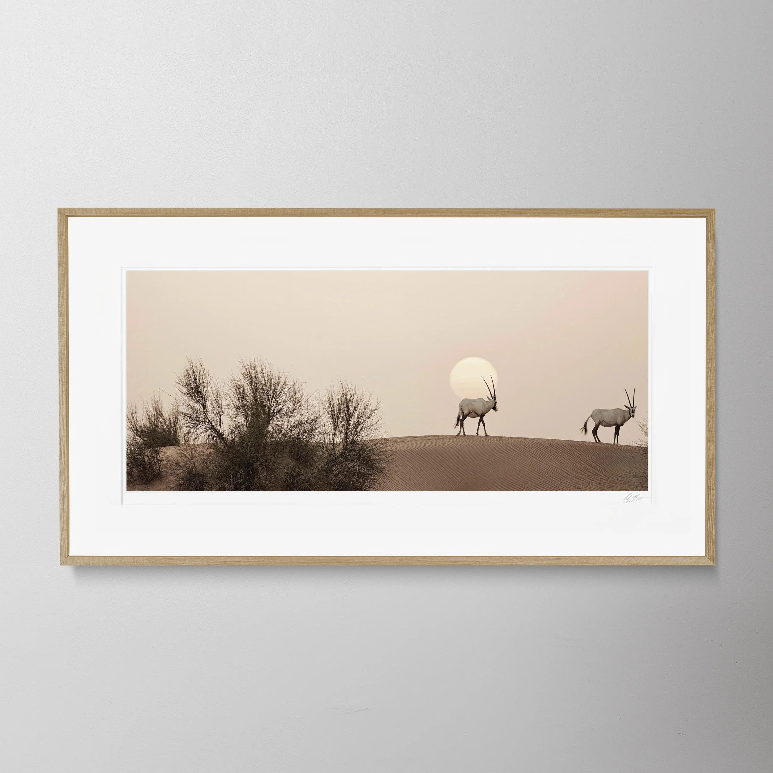 Oak Panorama-Oryx 0035.jpg