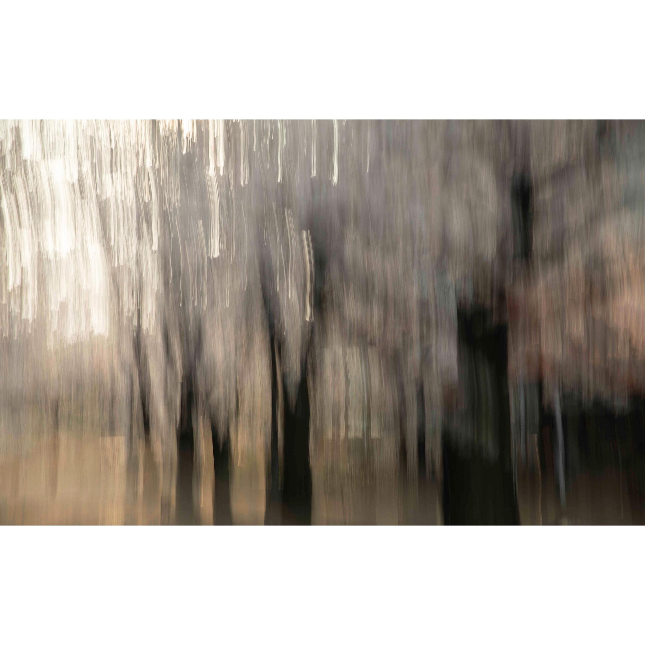 Kyoto Blossom Kinesis (Shimbashi Gion) 15.jpg