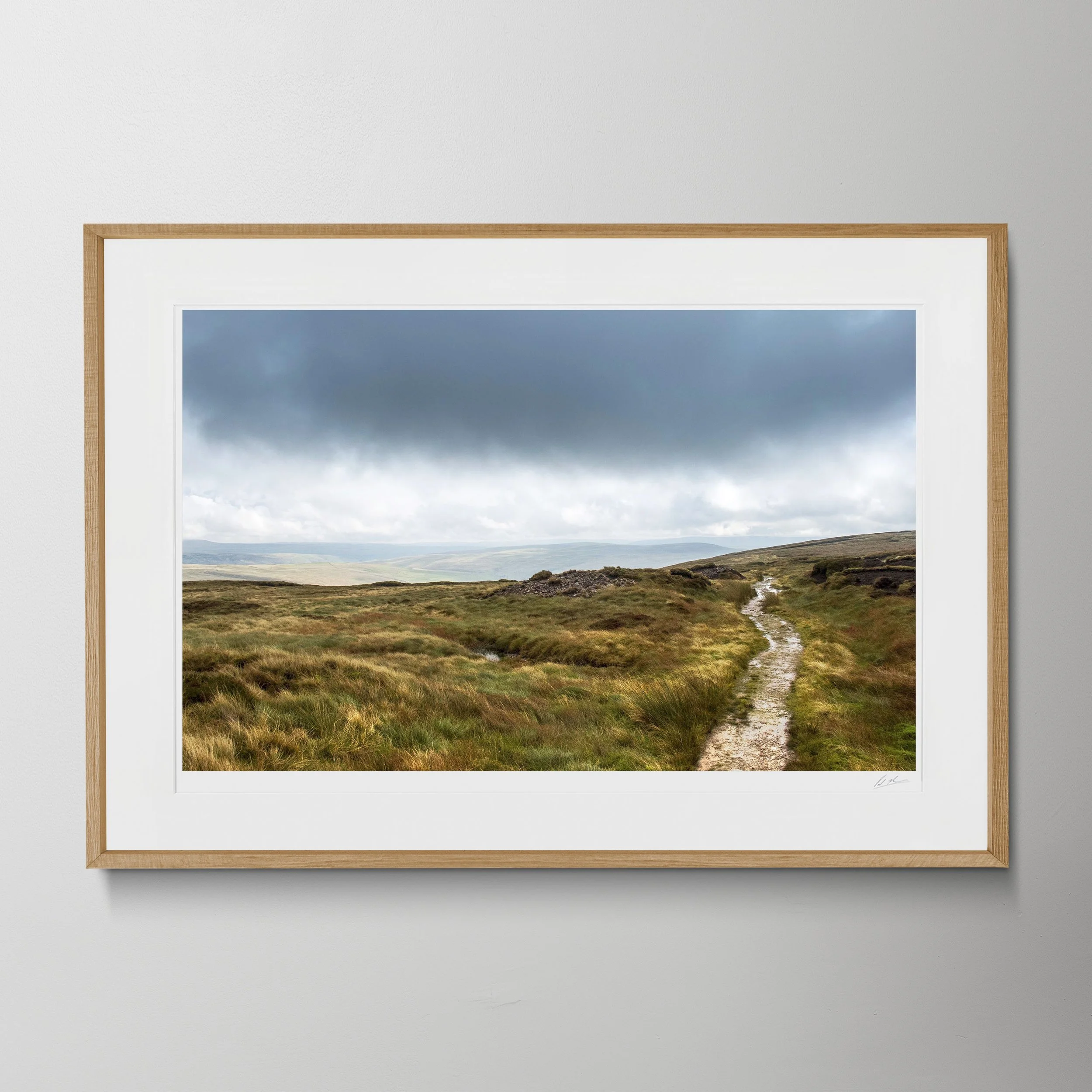 Oak Landscape Penine Way 9.10 187.jpg