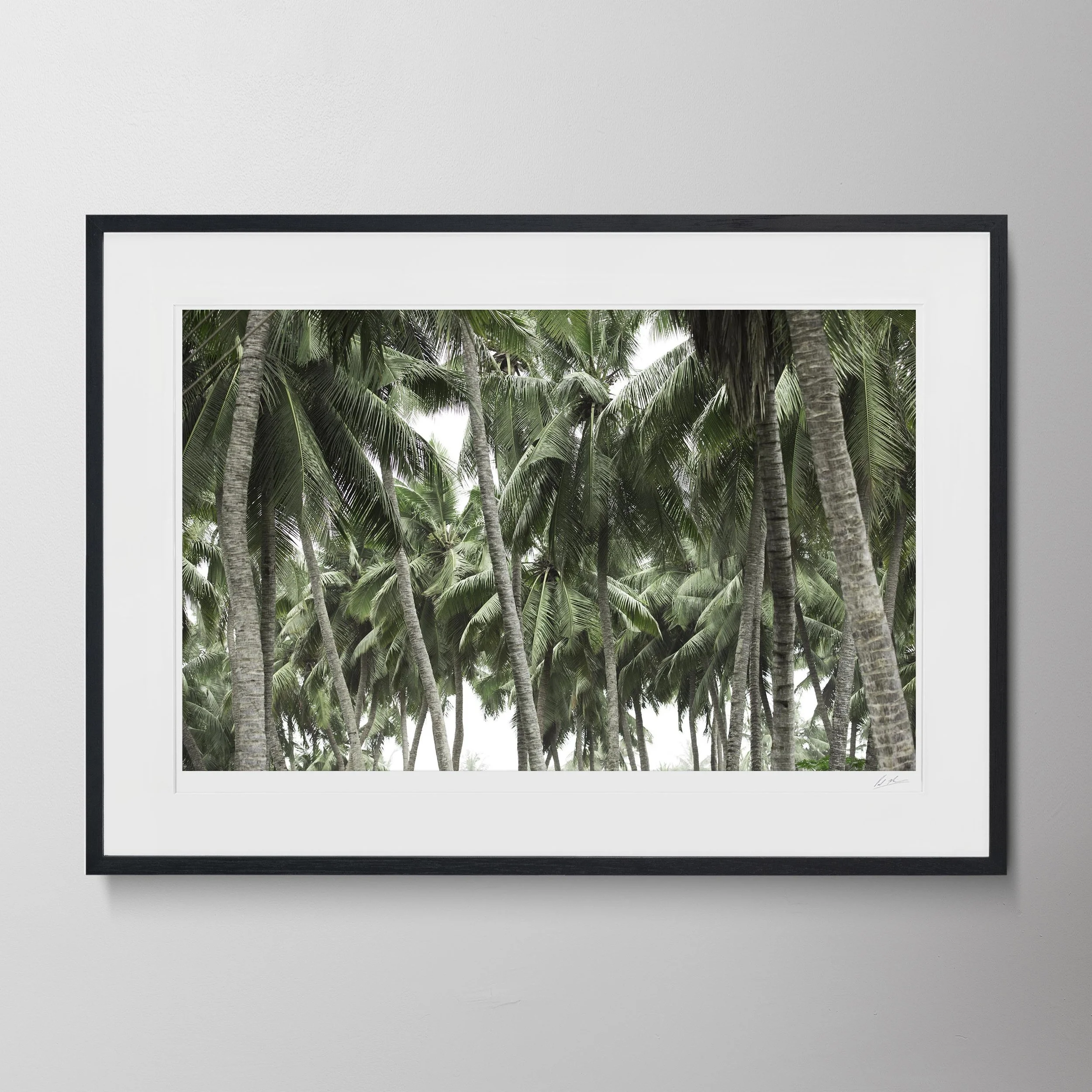 Black Landscape-Salalah Destination 205.jpg