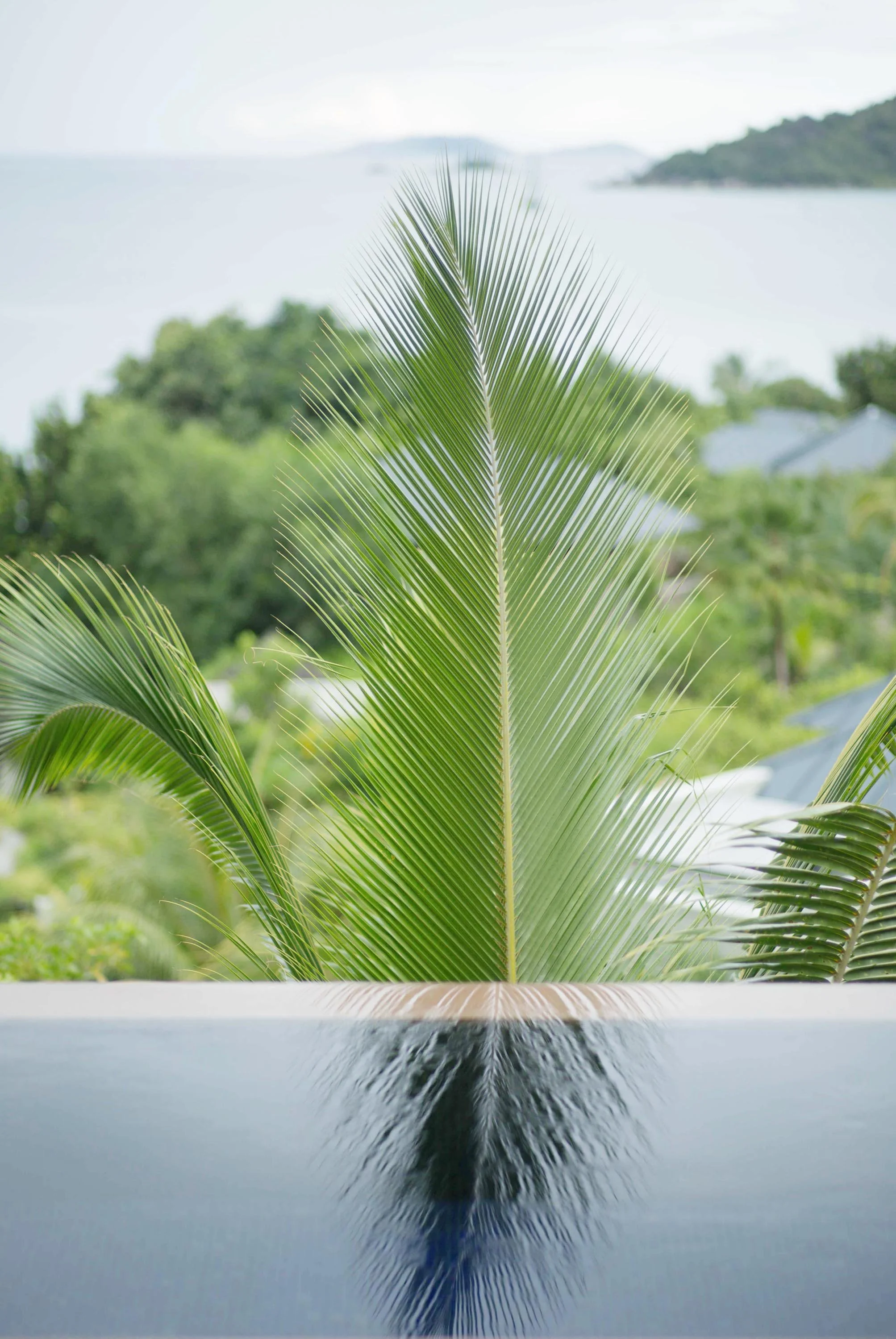 21 Raffles Villa Details 203.jpg