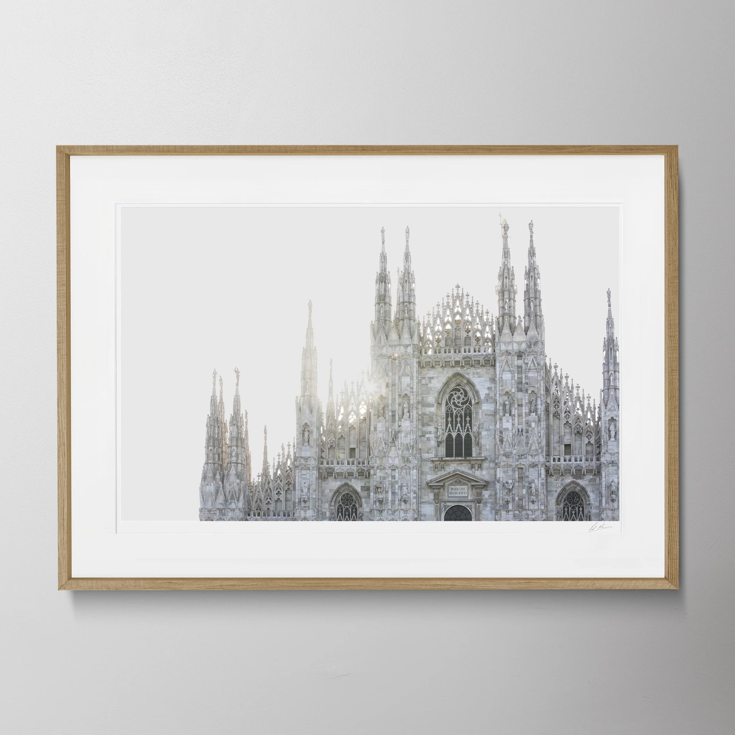 Oak Landscape - Milan Duomo 031 copy.jpg