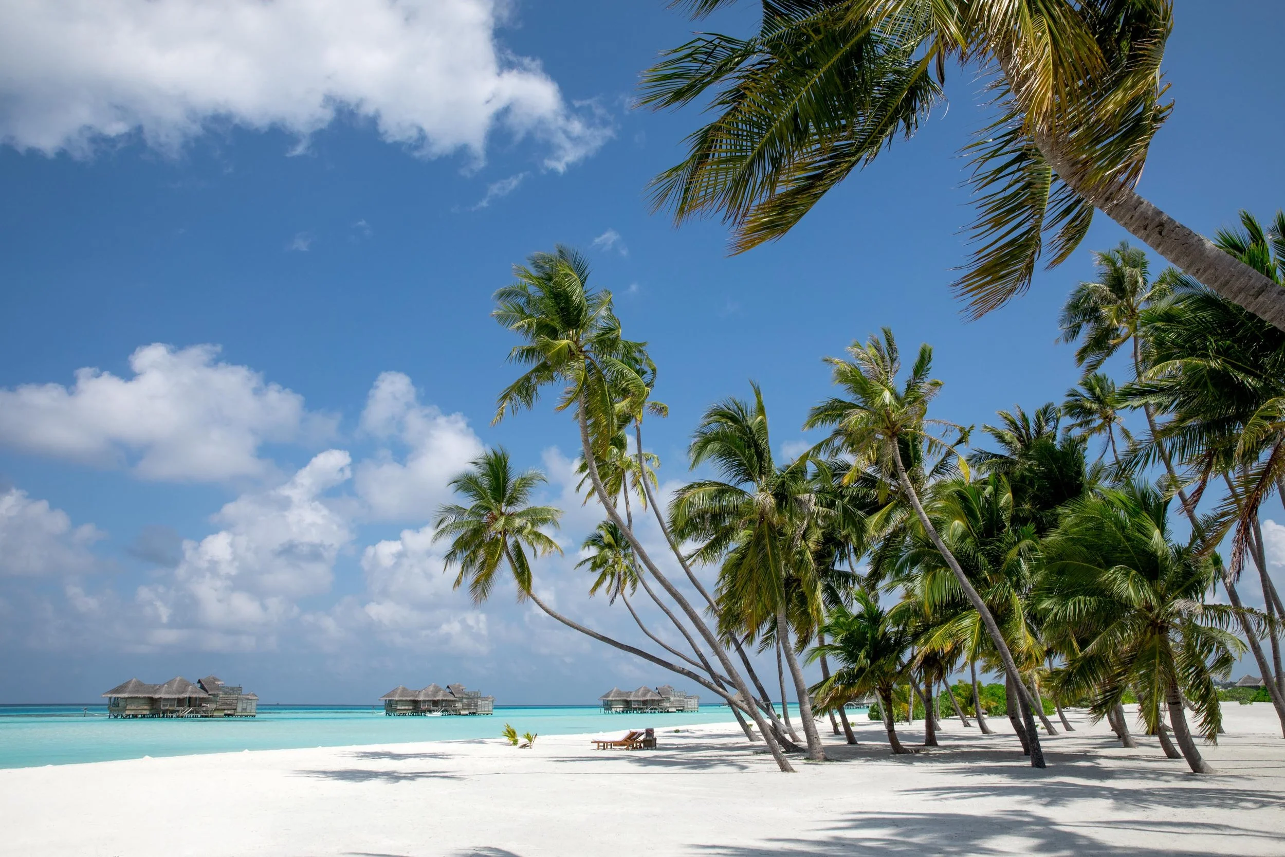 GLF Palm Beach 005.jpg