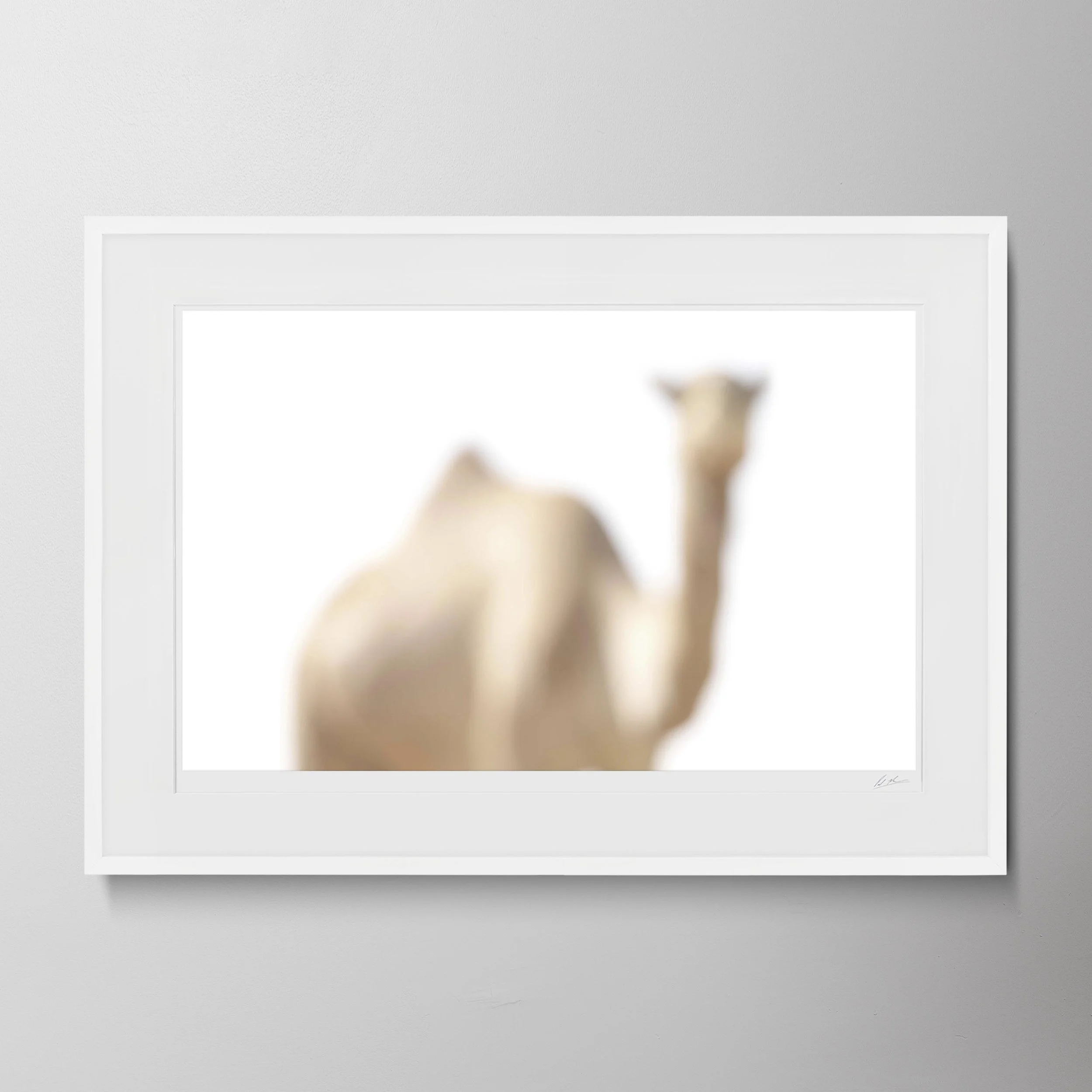White Landscape-Camel Counting 8 0179.jpg