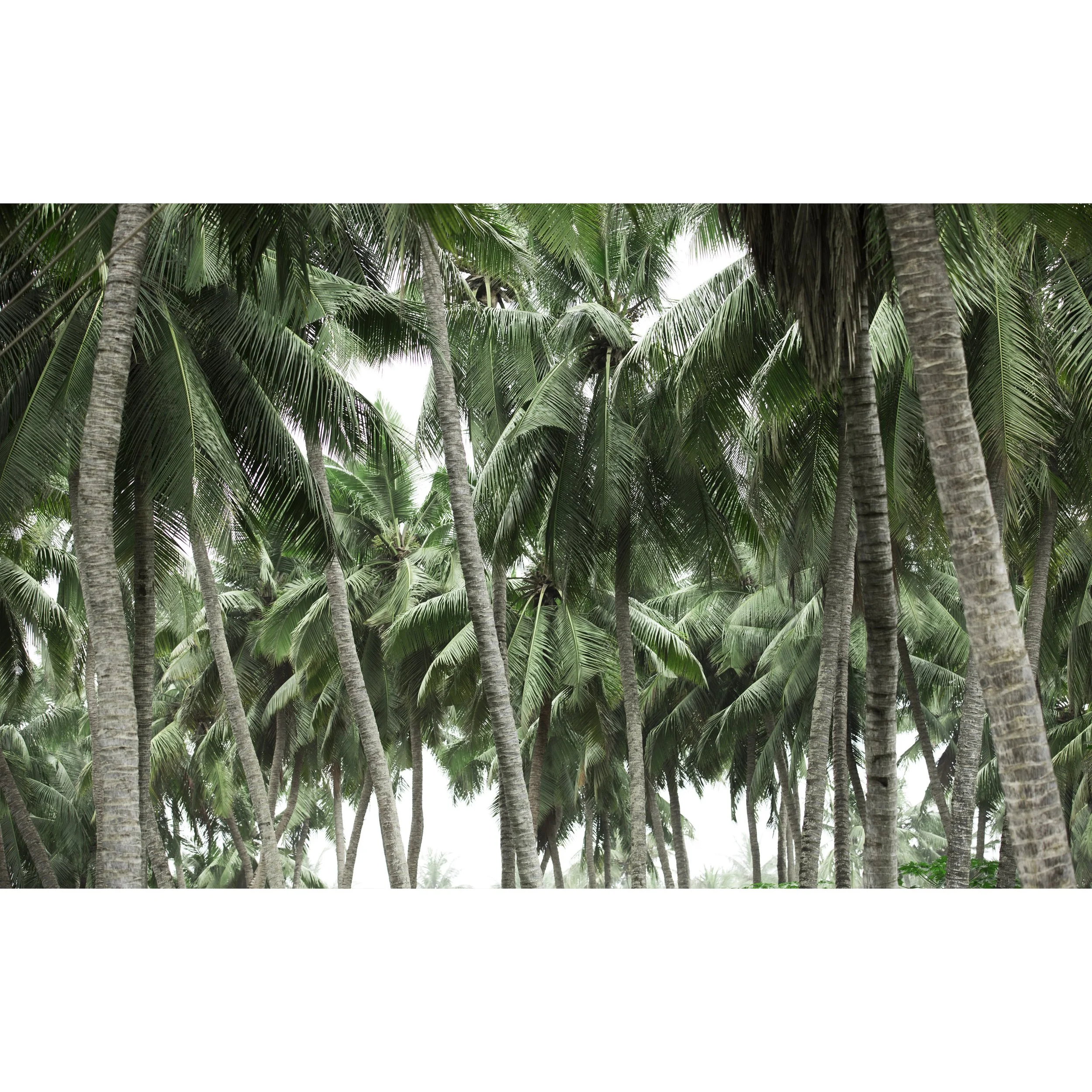 Salalah Destination 205.jpg