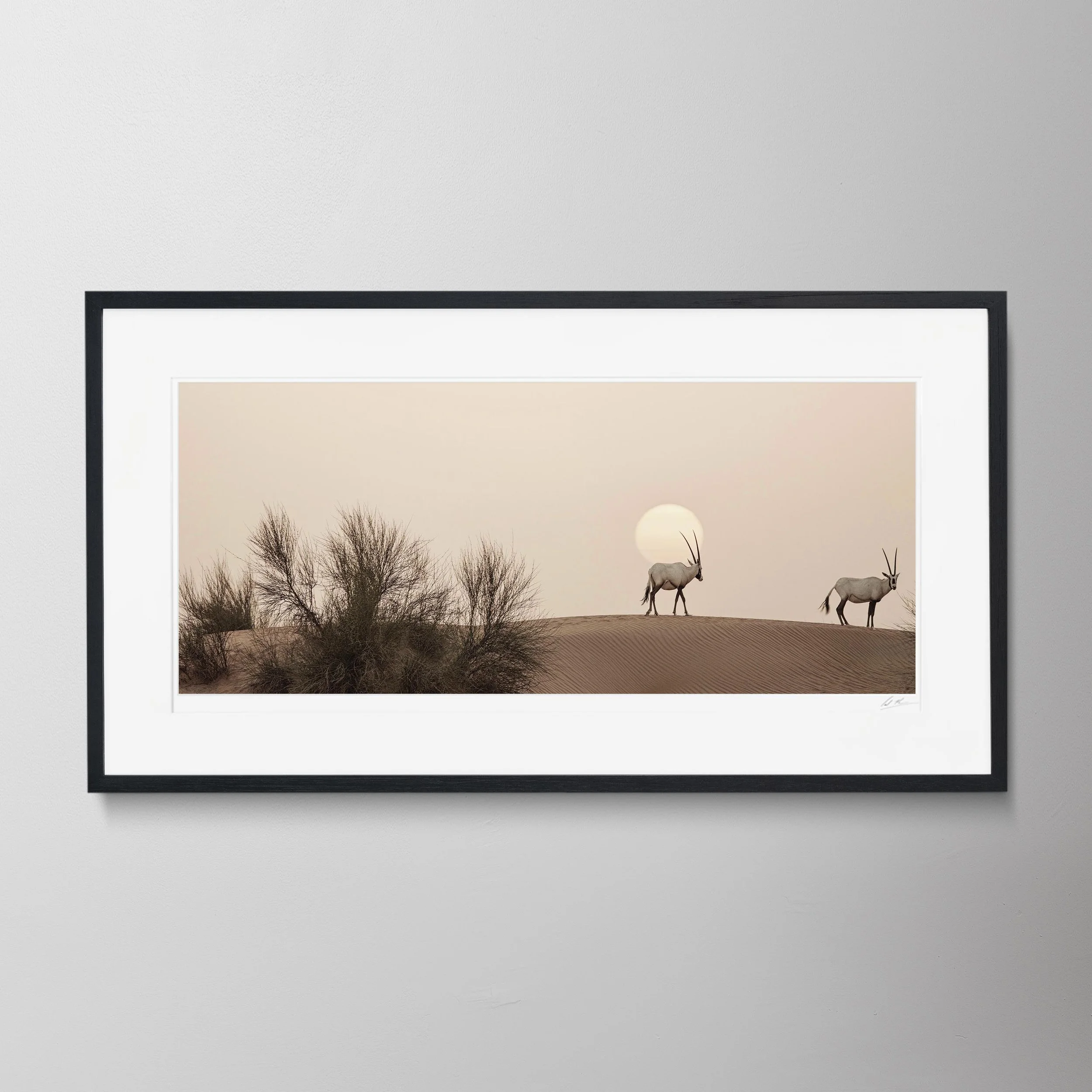 Black Panorama-Oryx 0035.jpg