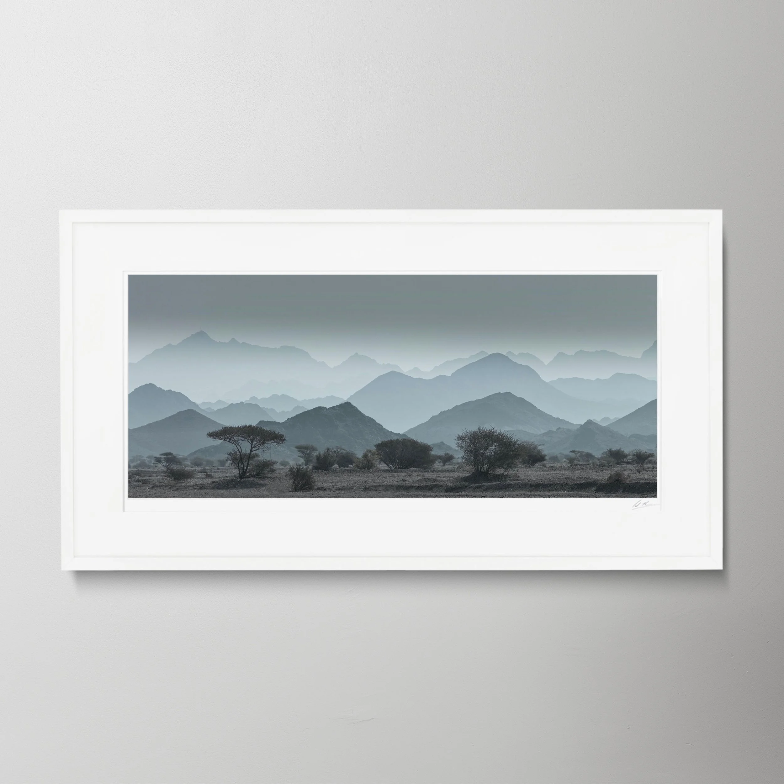 White Panorama copy.jpg