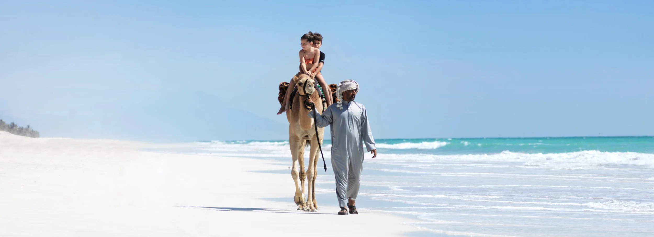 AABS Beach Camel_0033_v02.jpg