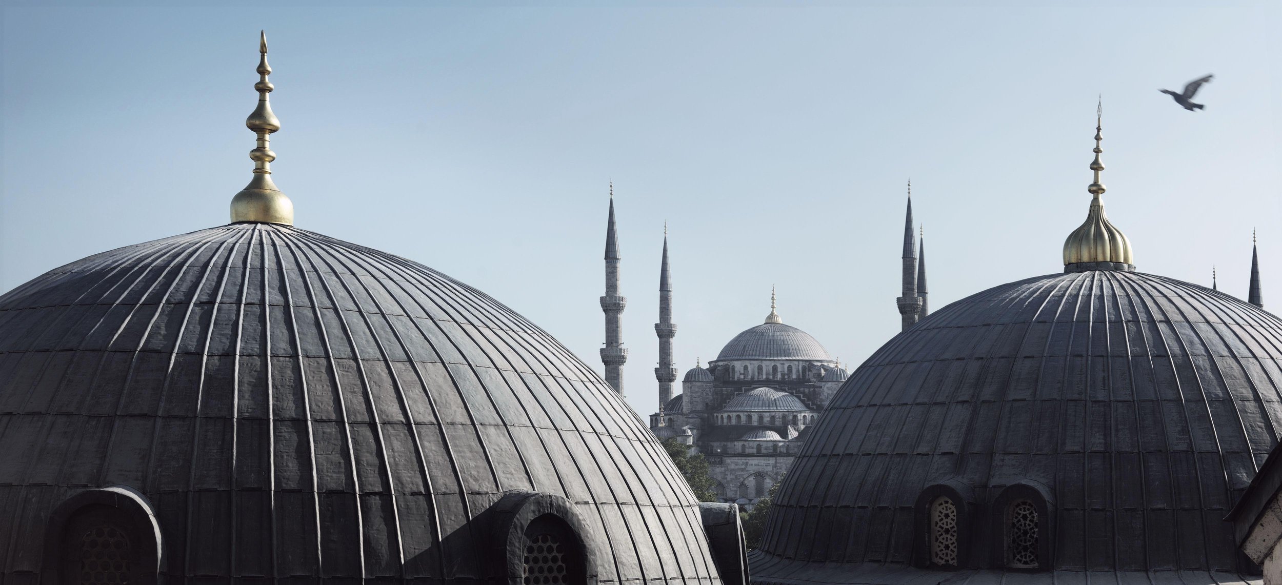 FSBS Blue Mosque From St Sophia_0017.jpg