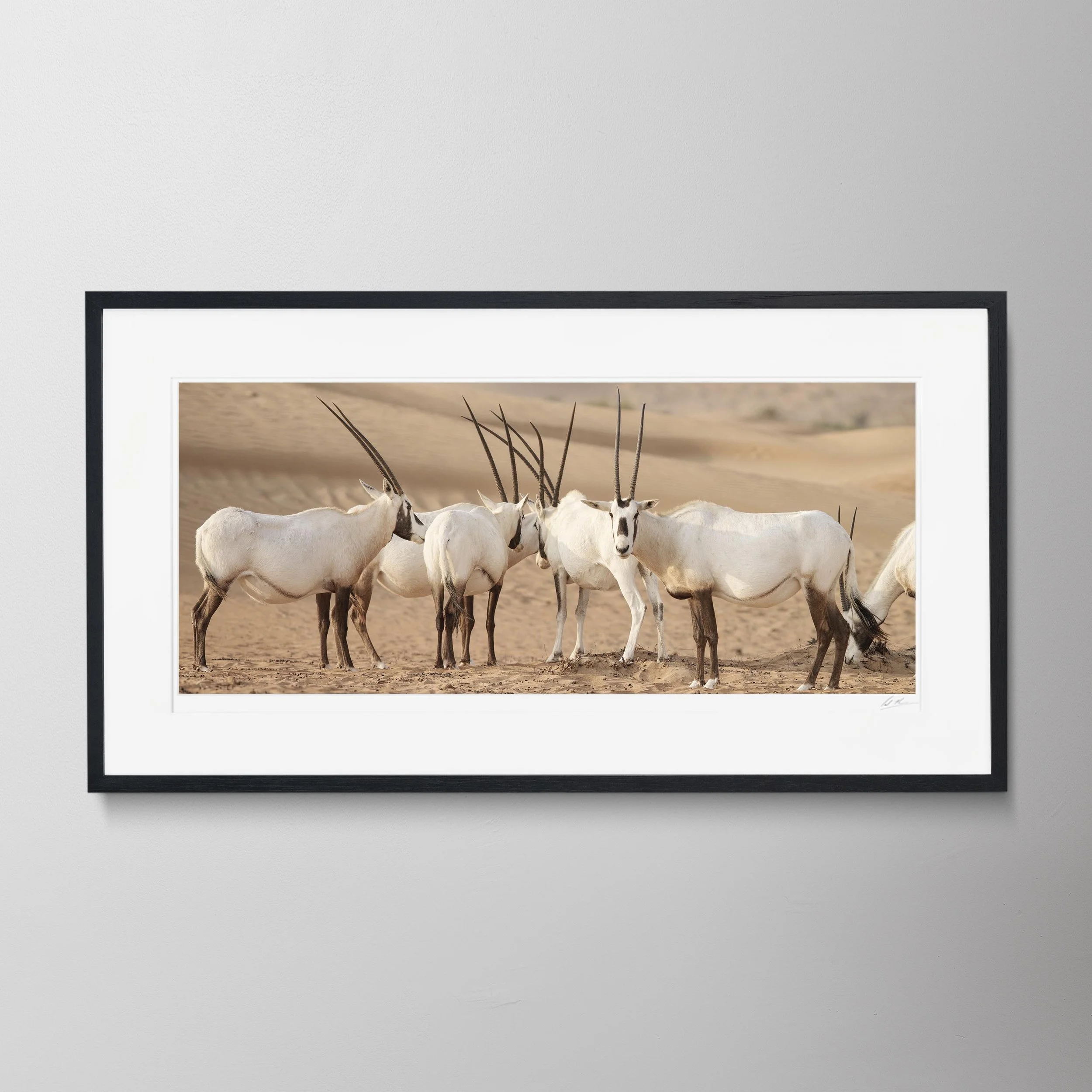 Black Panorama-Oryx 0001.jpg