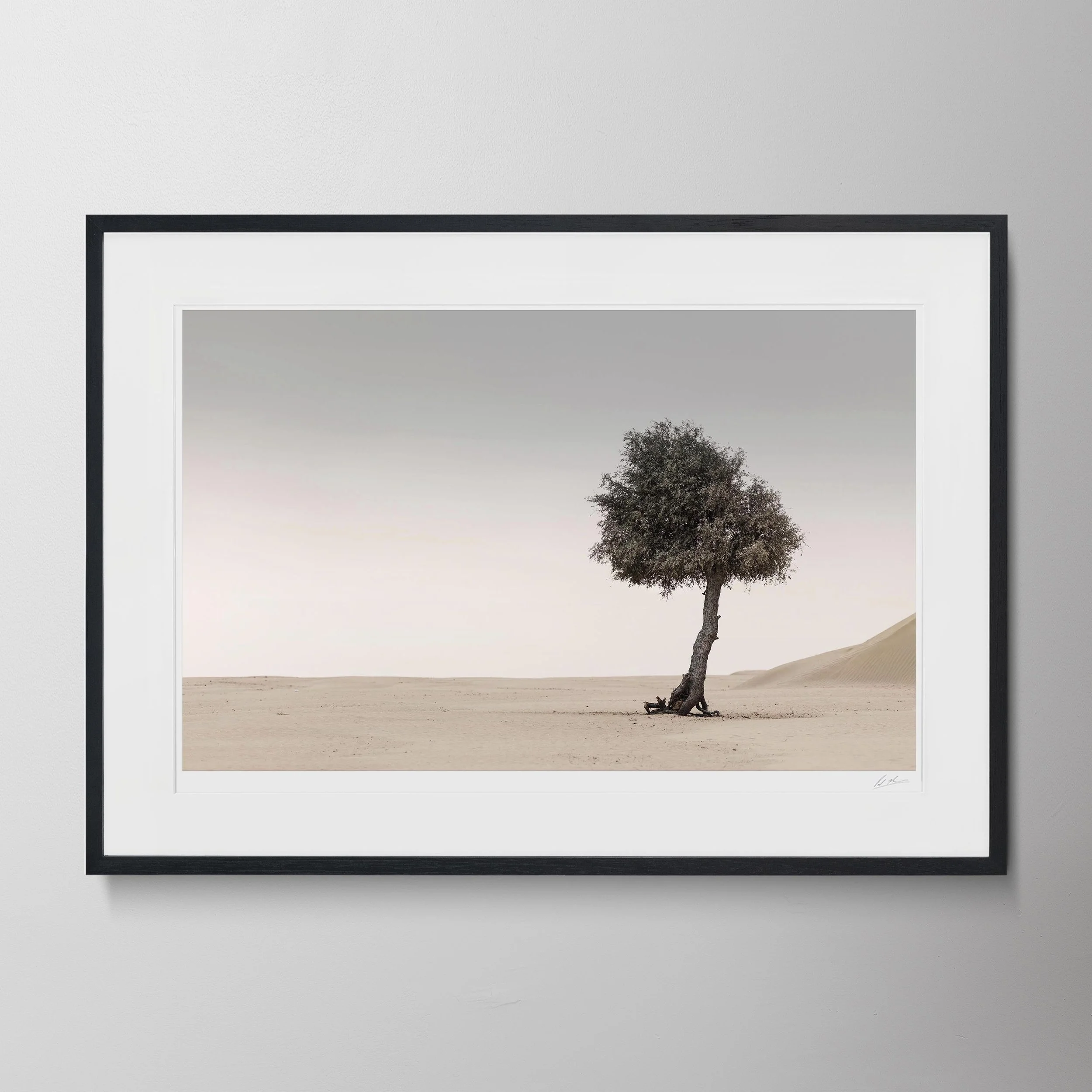 Black Landscape-Ghaff Trees 0004 2.jpg