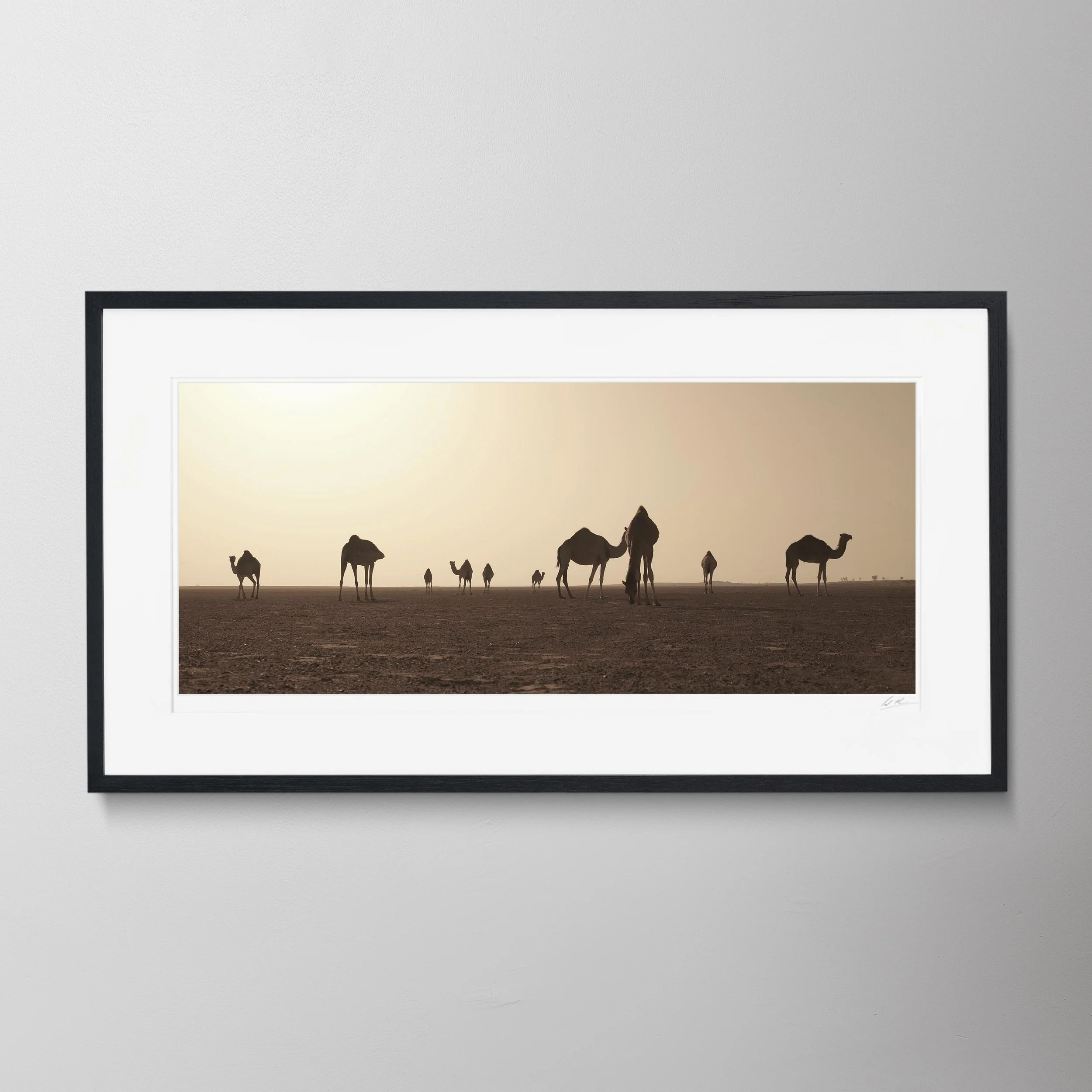 Black Panorama-Camel Counting 3 0022.jpg