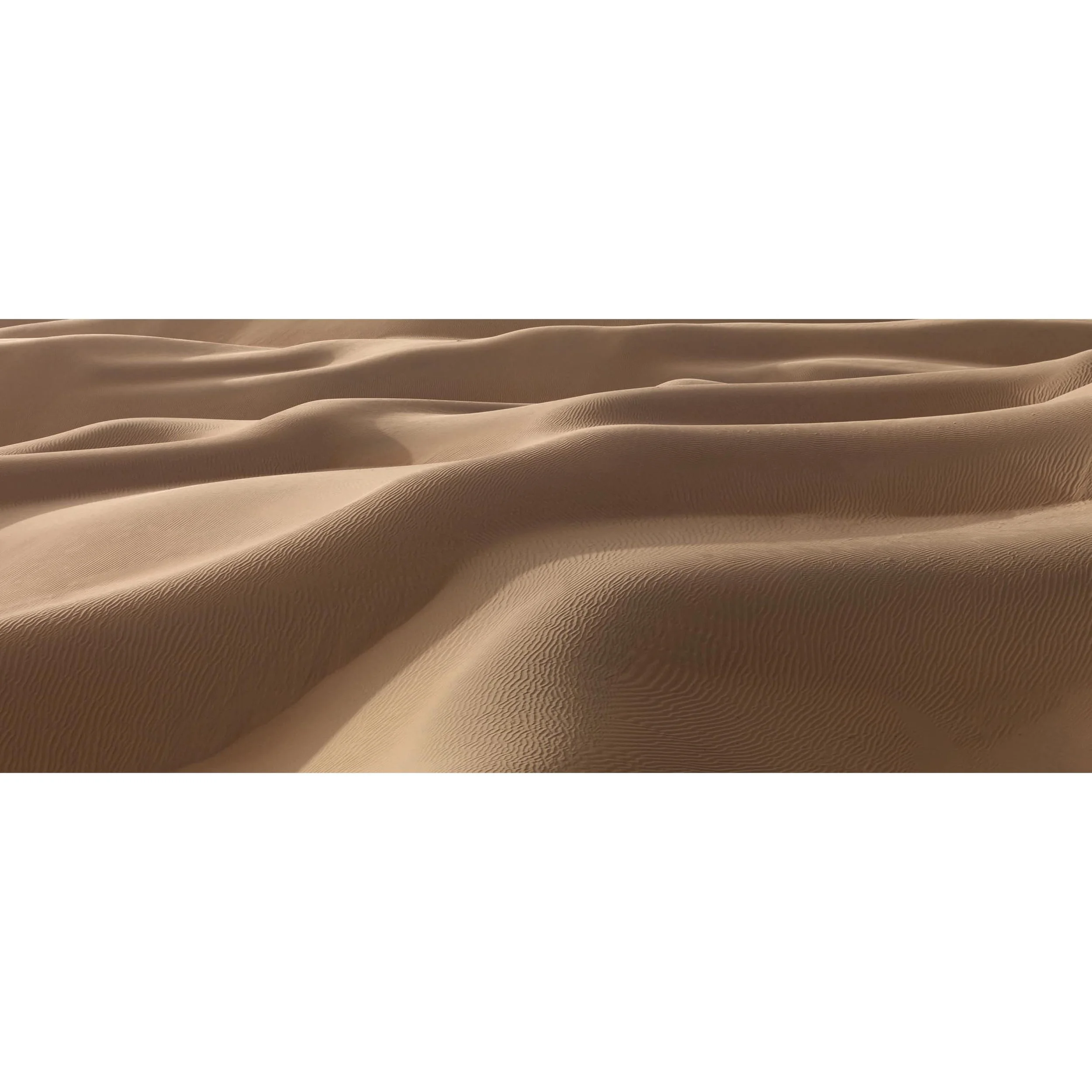 Sand Dunes Liwa 0025.jpg
