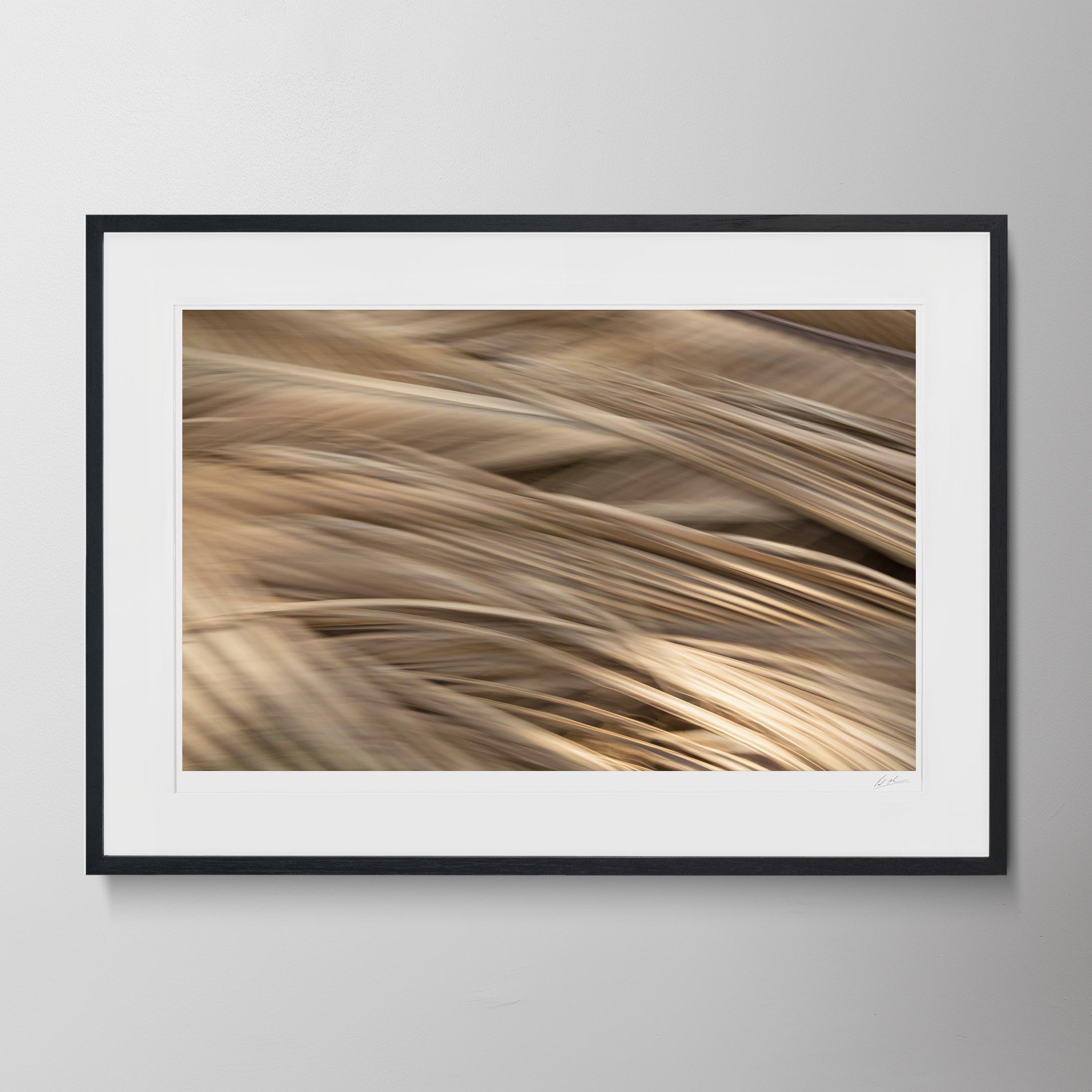 Black Landscape-Goa Art & Motion Blur 116.jpg