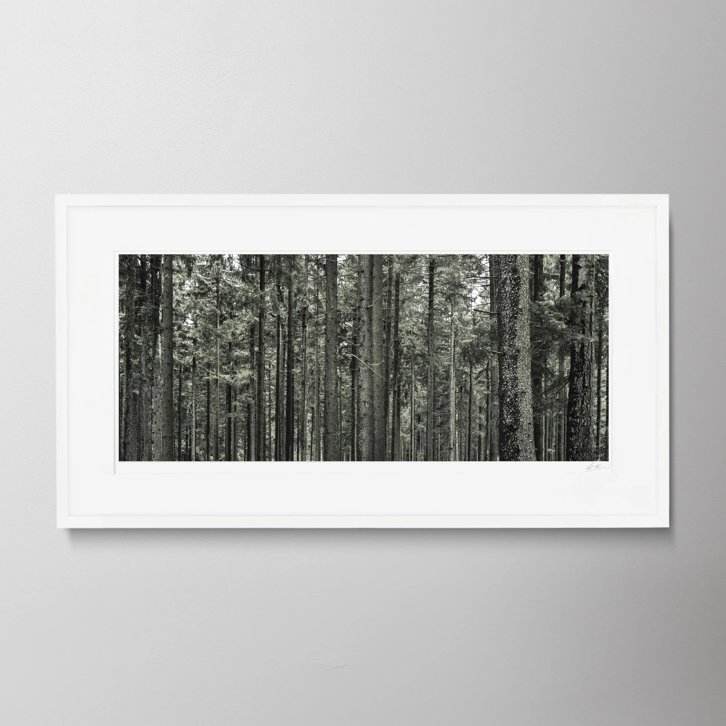 White Panorama - Bavarian Trees_0011 copy.jpg