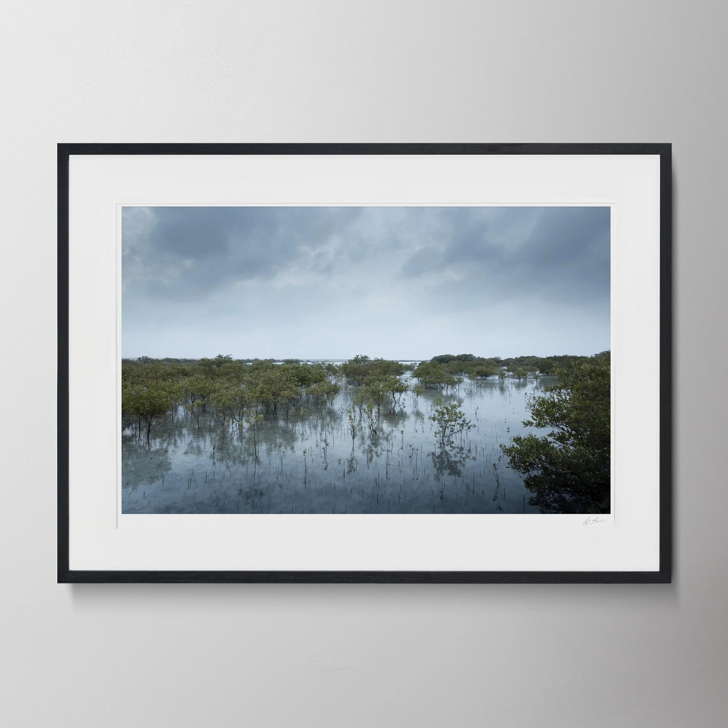 Black Landscape-Al Yamm Mangroves 02.jpg