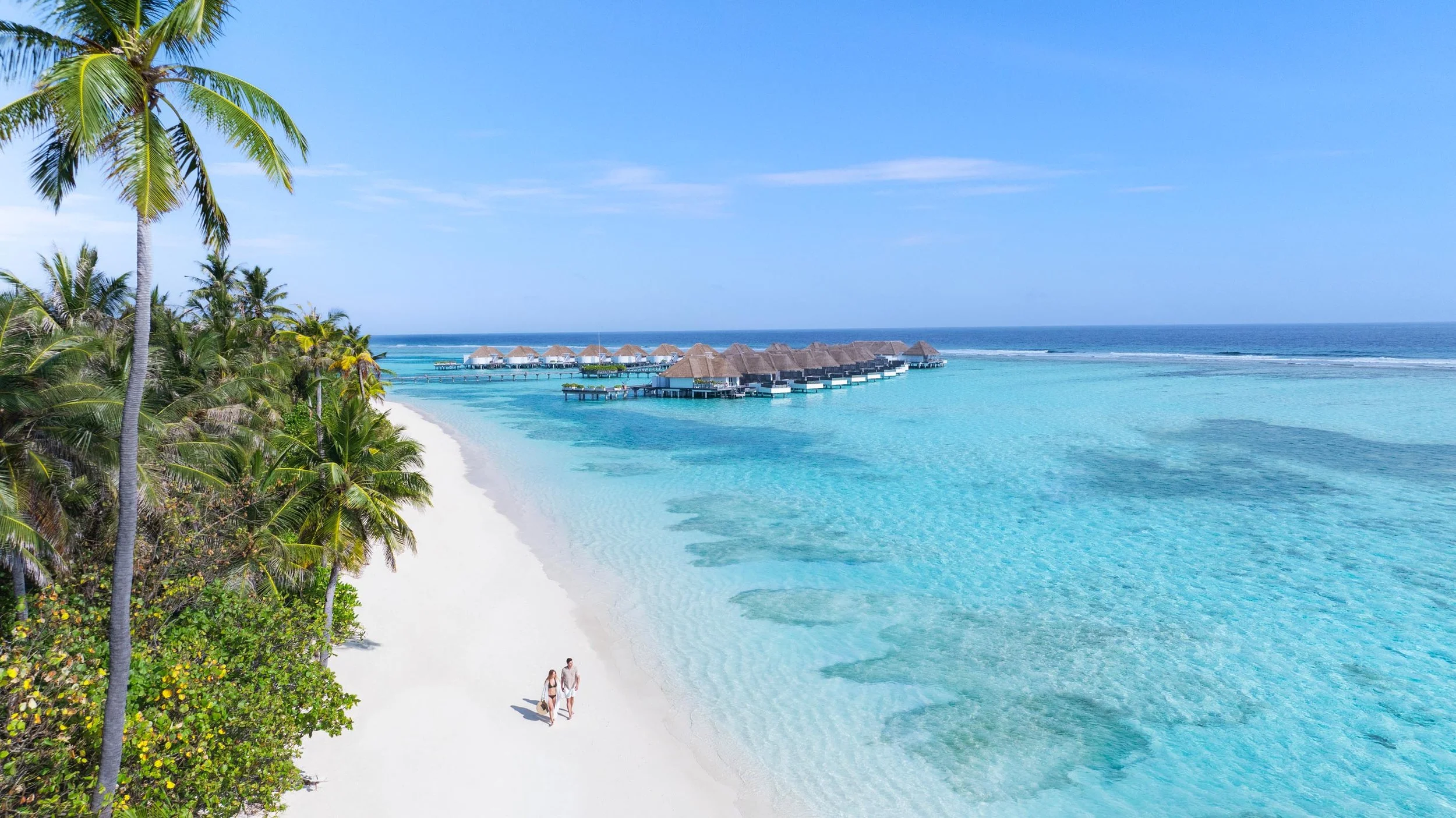 Honeymoon Beach Tree Walk Lifestyle 27 V3 16x9.jpg