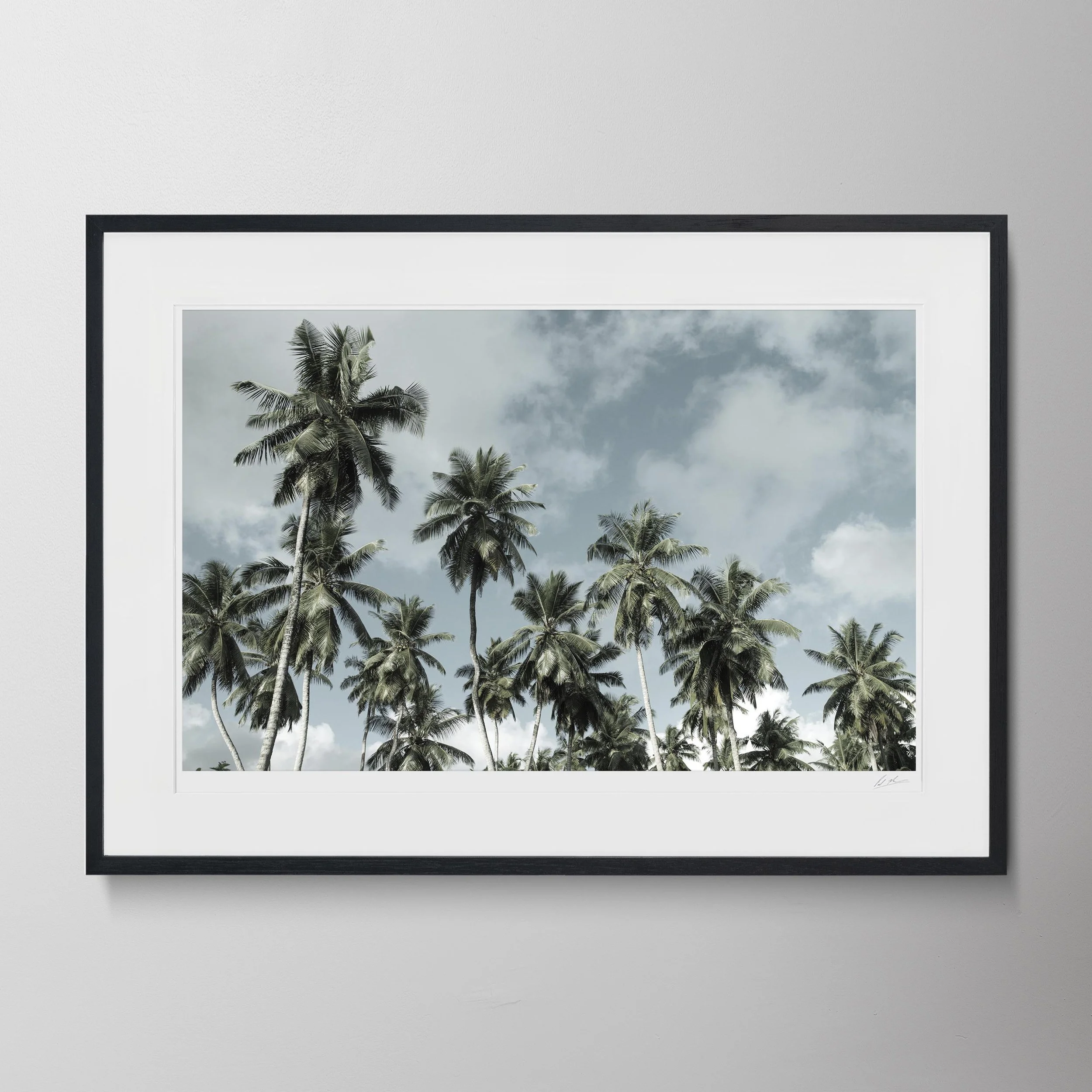 Black Landscape-B0010P_0589.jpg