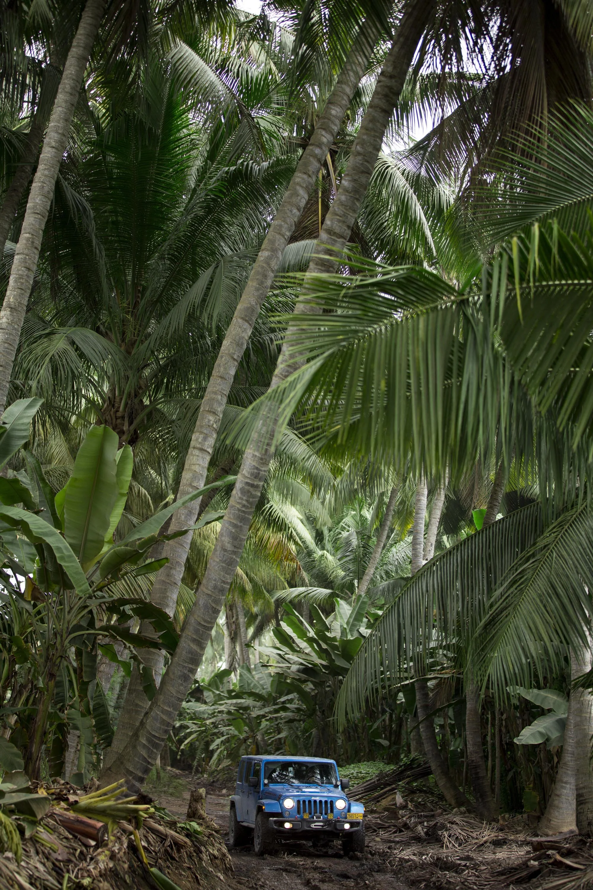 Salalah Destination 211.jpg