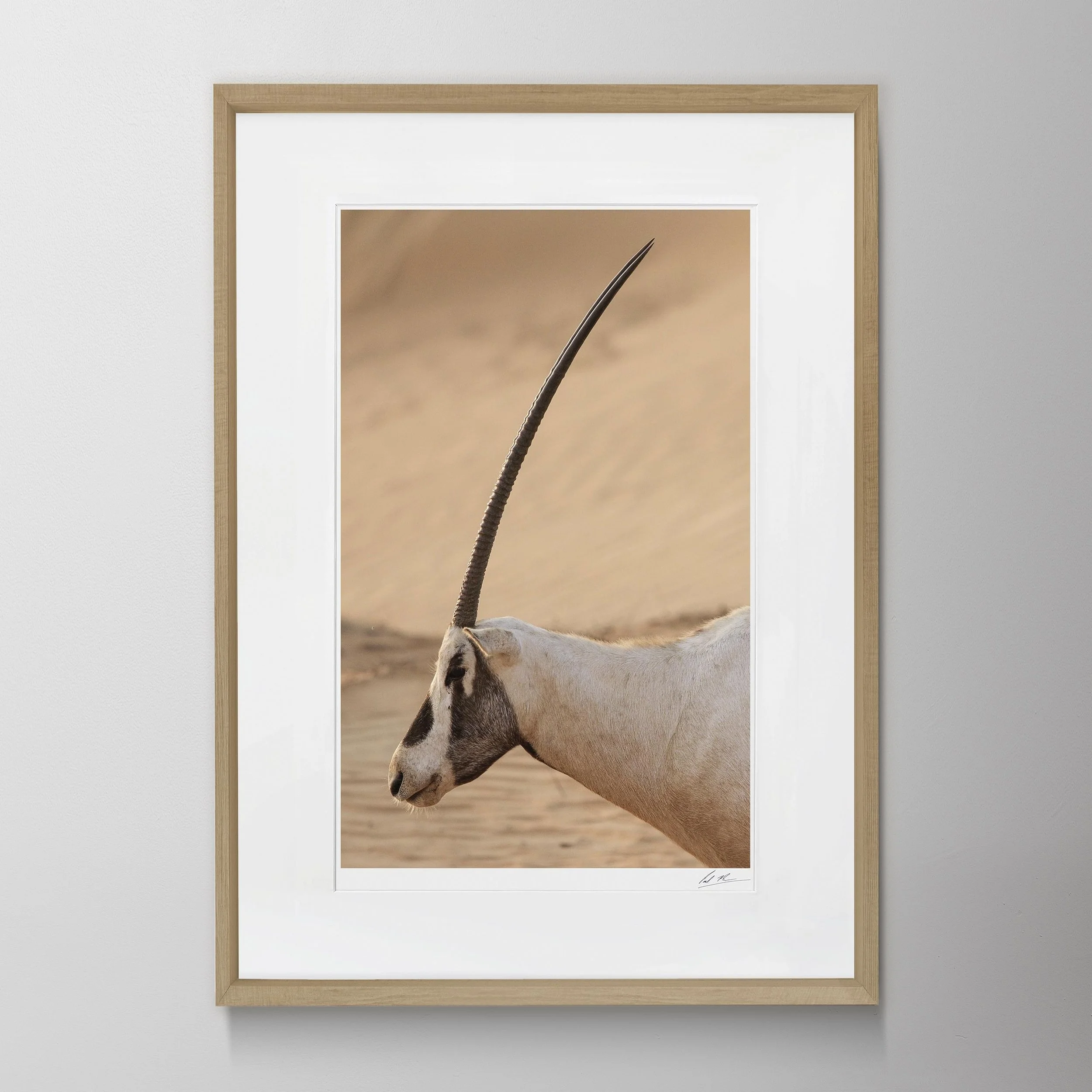 Oak Portrait-Oryx 0007.jpg