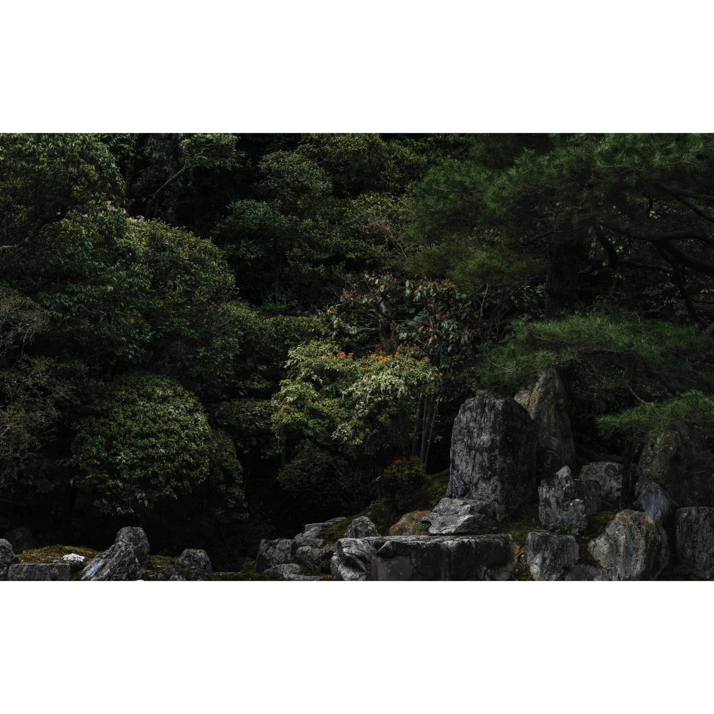Kyoto Konchi-In Temple_0014 2.jpg