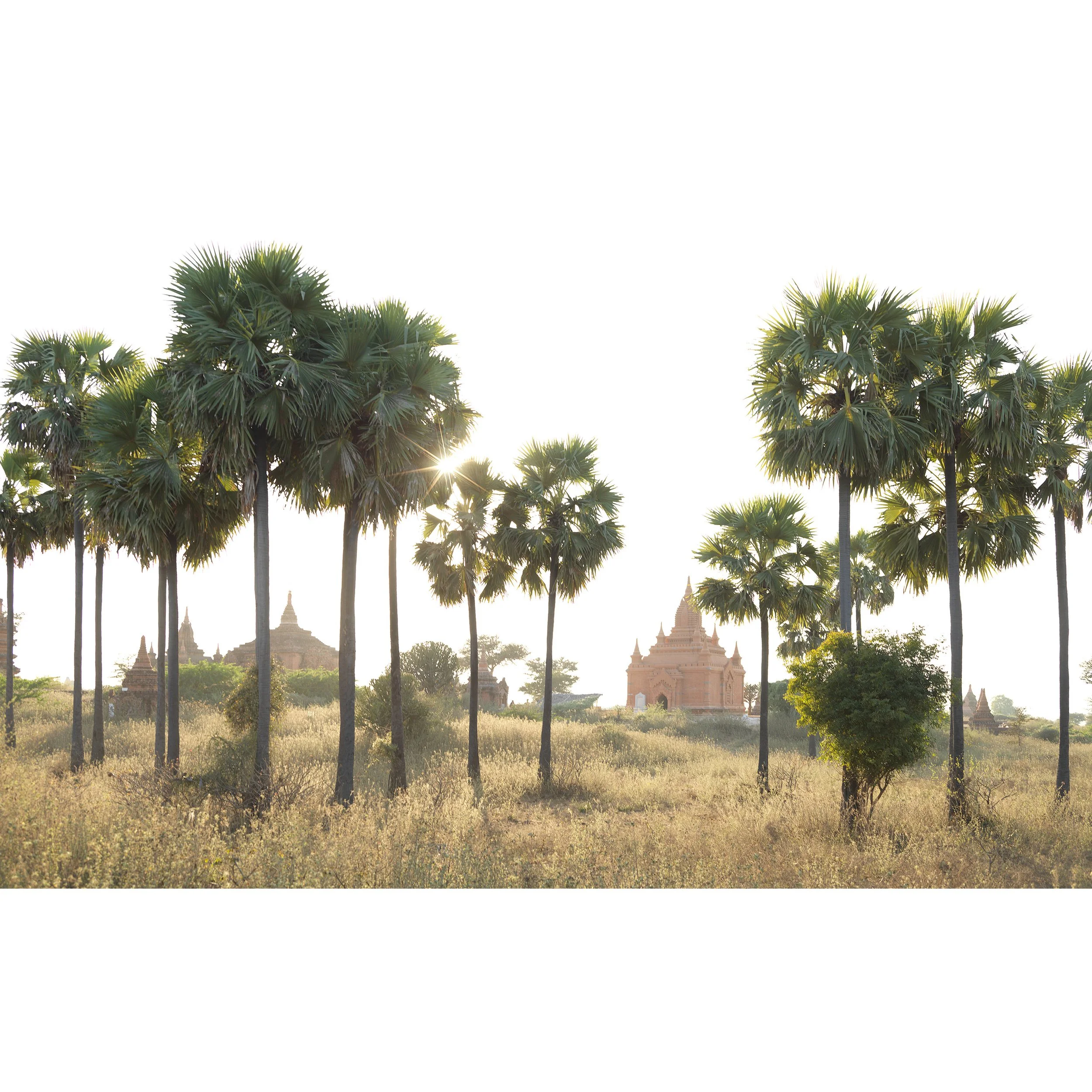 Bagan_0310.jpg