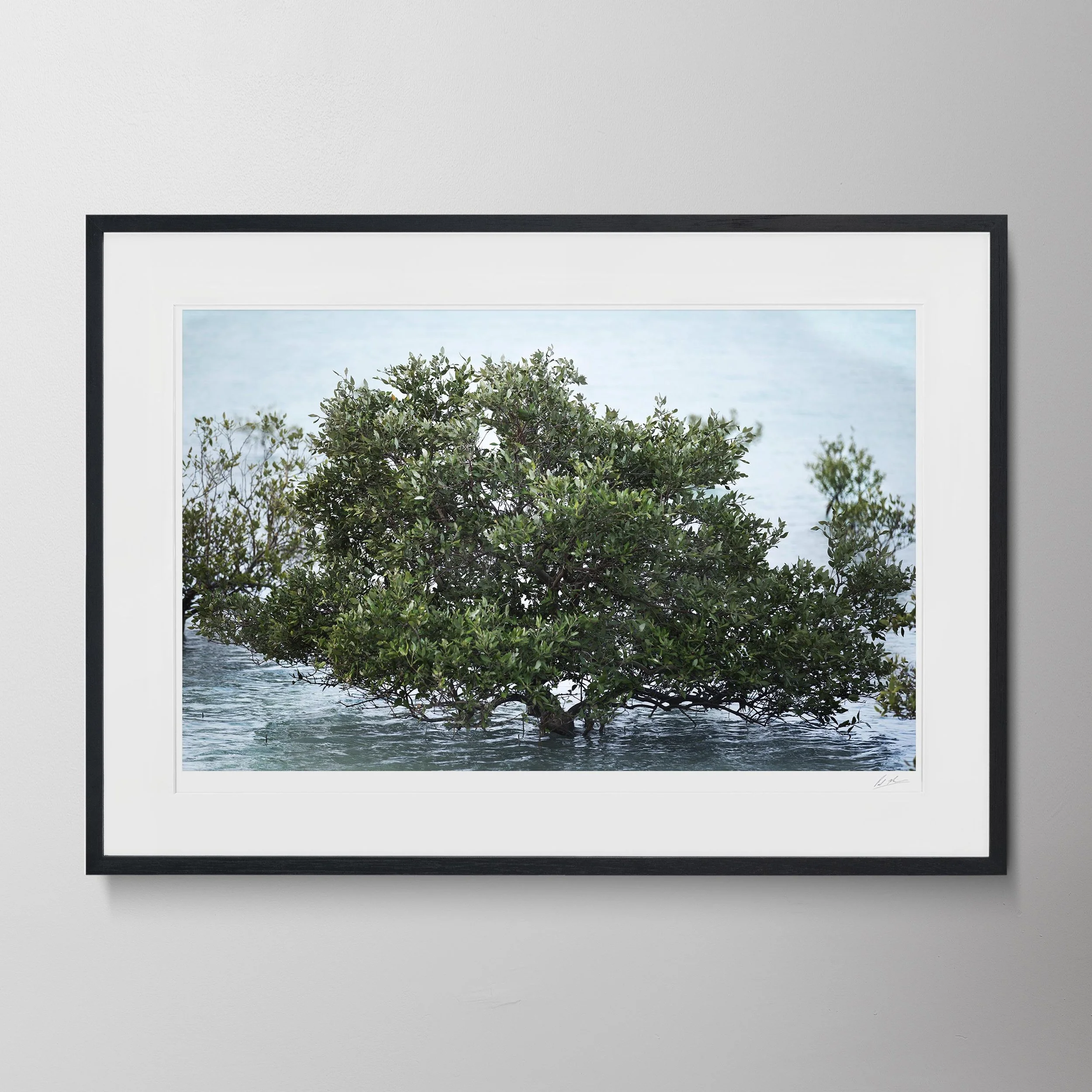 Black Landscape-Al Yamm Mangroves 18.jpg