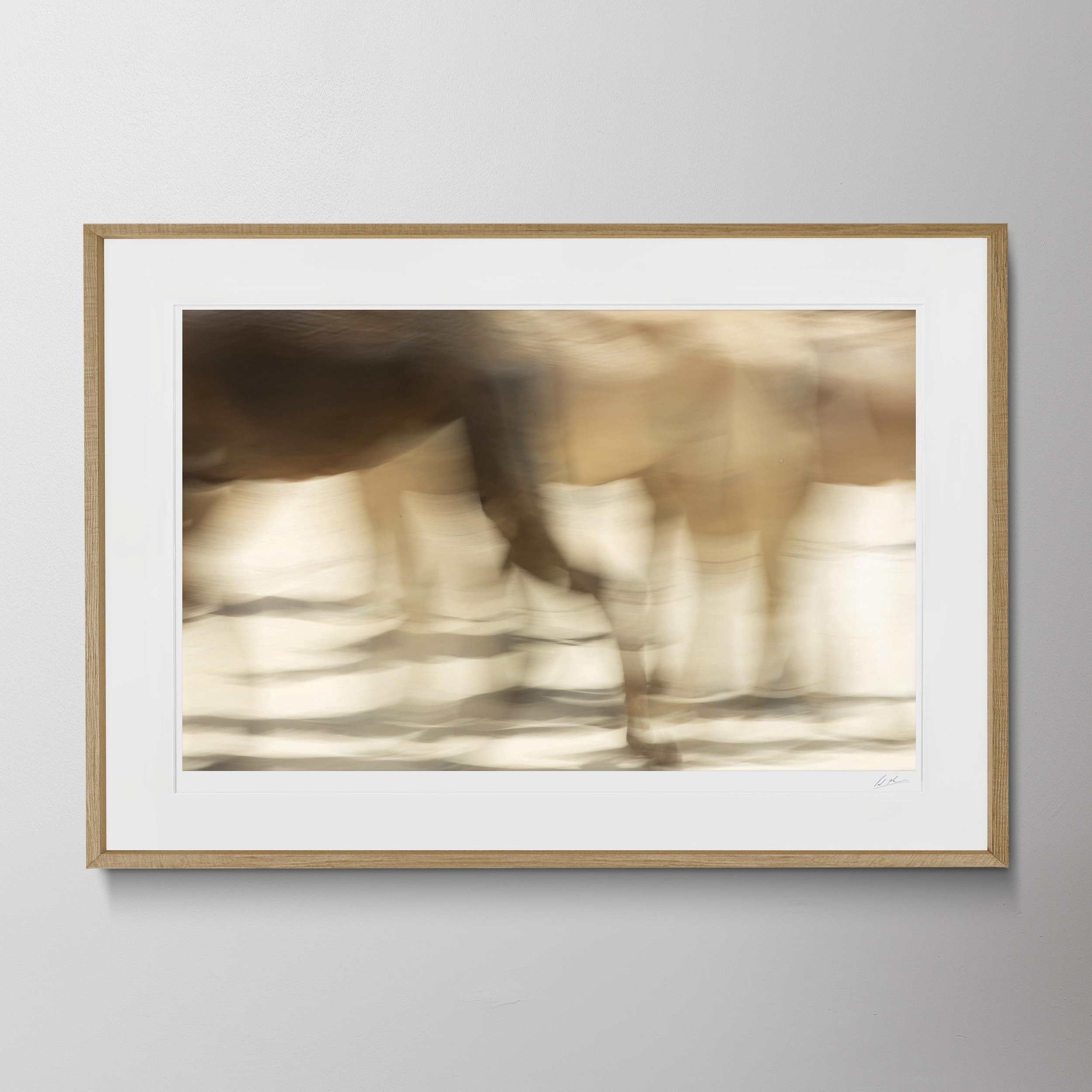 Oak Landscape-Camels in Liwa 10.jpg