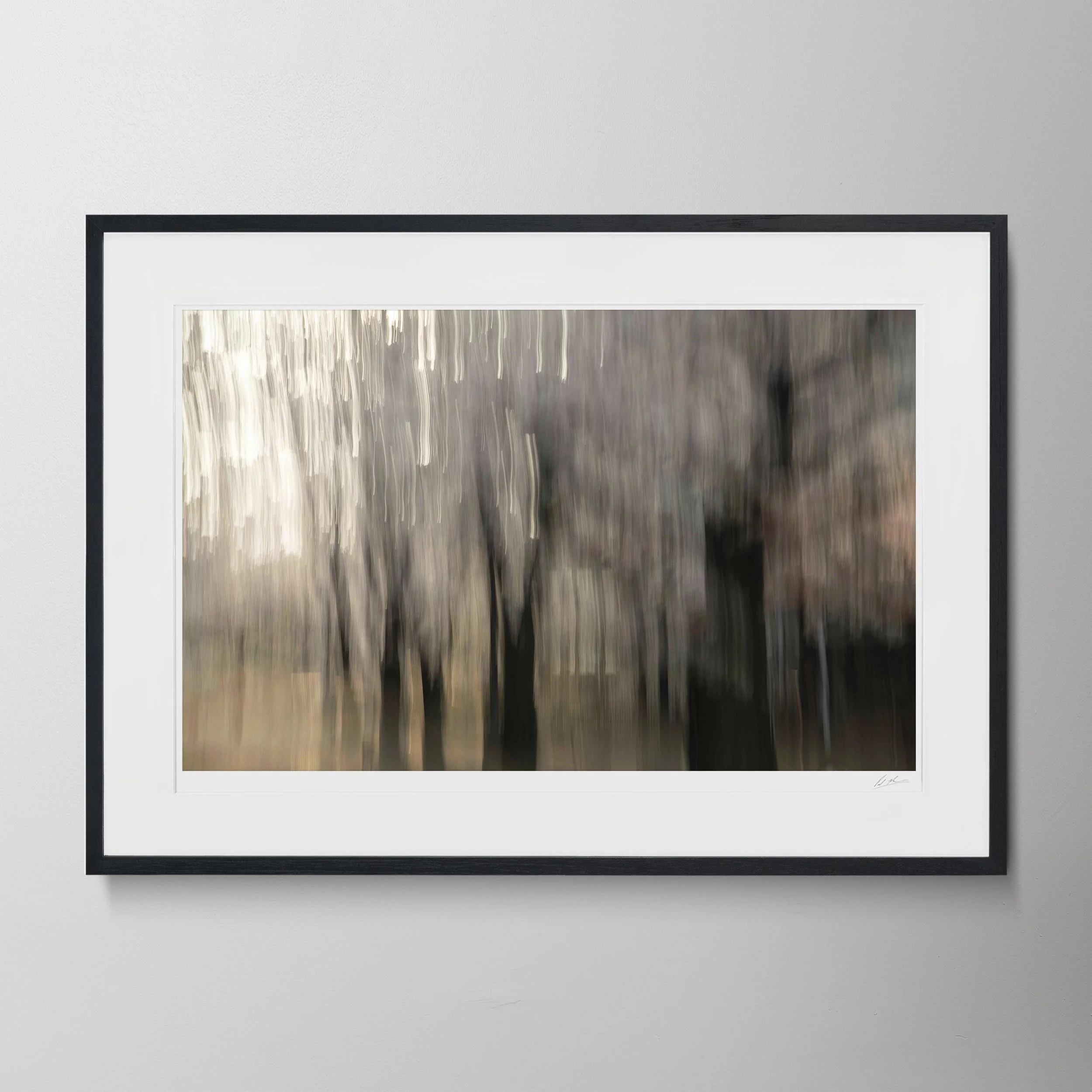 Black Landscape-Kyoto Blossom Kinesis (Shimbashi Gion) 15.jpg