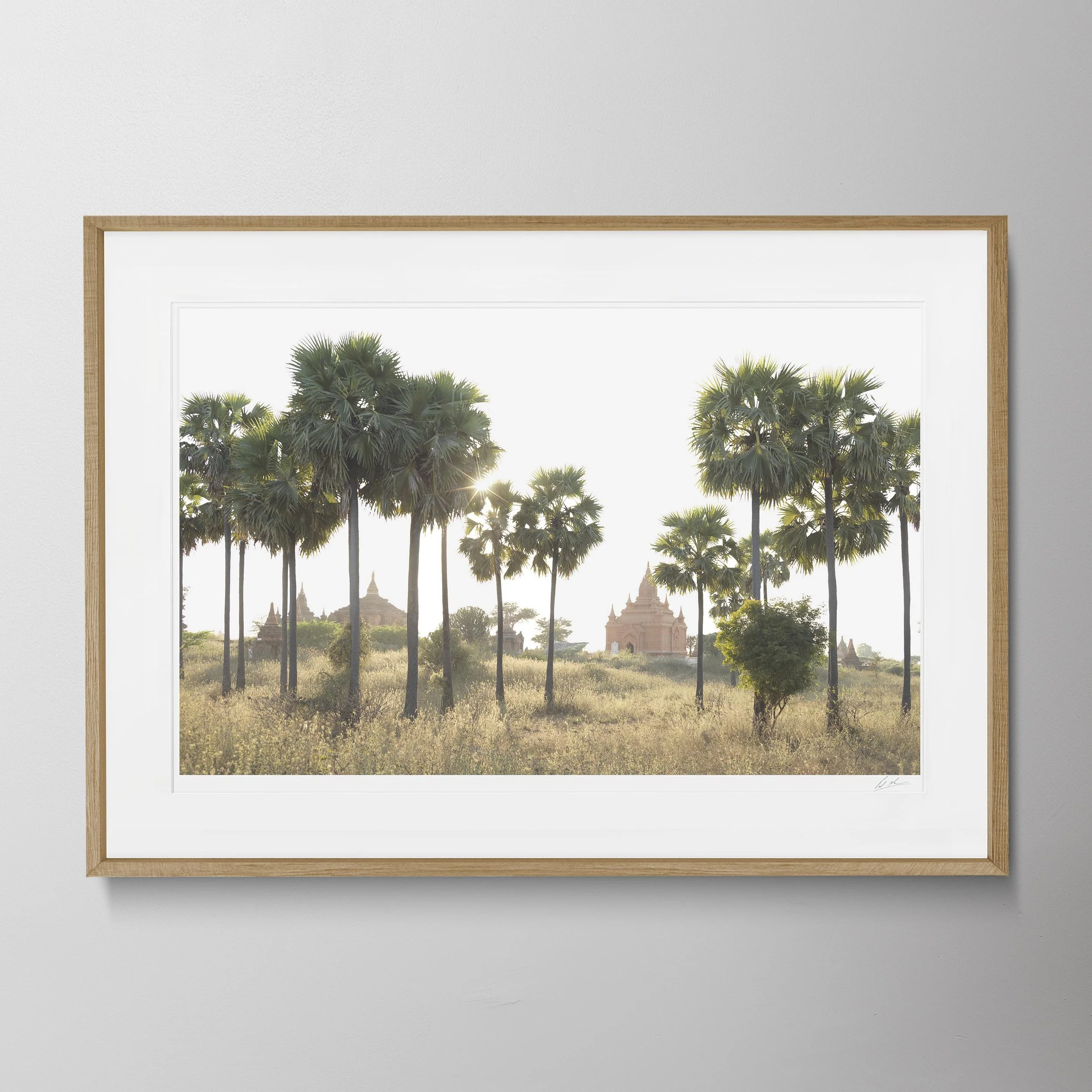 Oak Landscape - Bagan_0310 copy.jpg