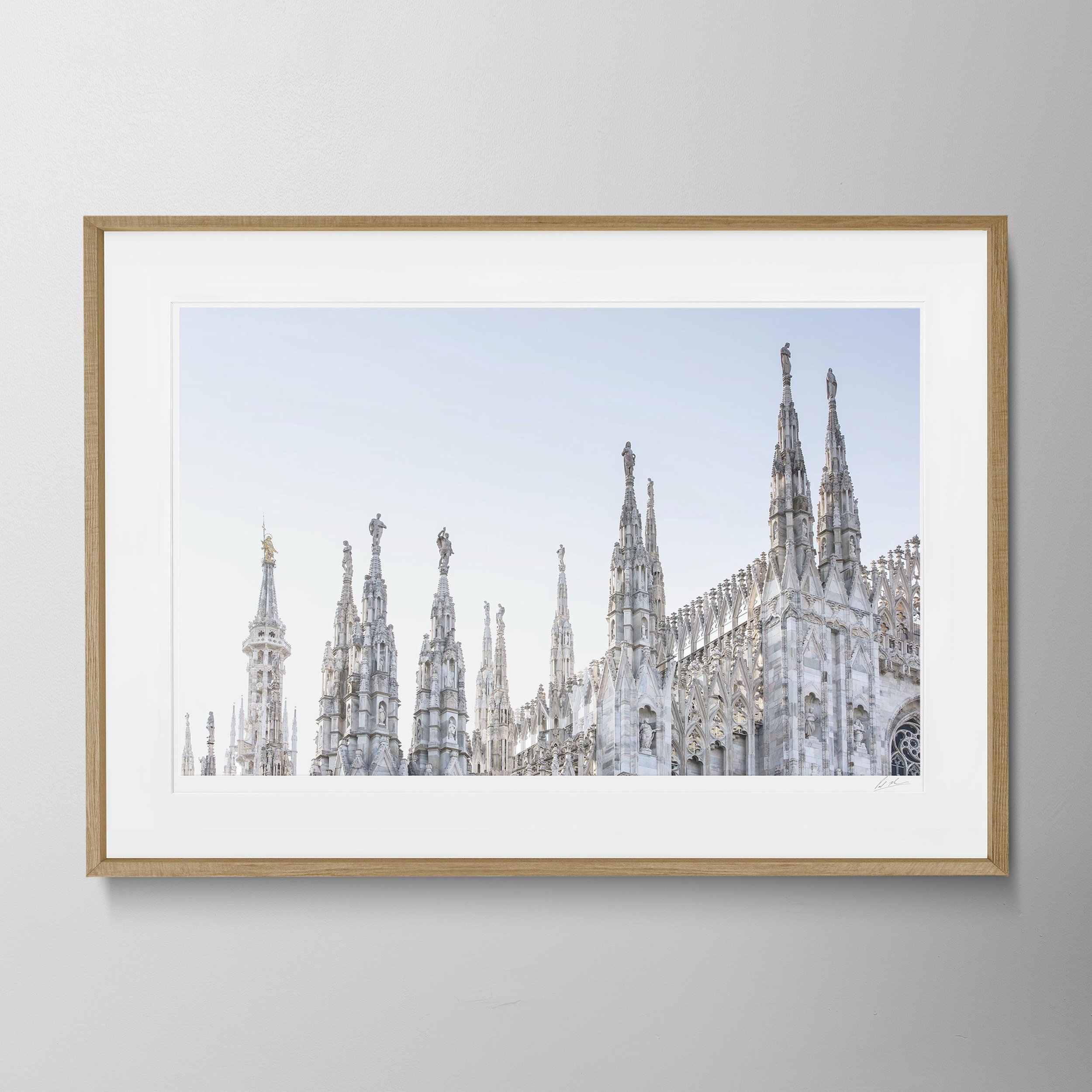 Oak Landscape - Milan Duomo 060 copy.jpg